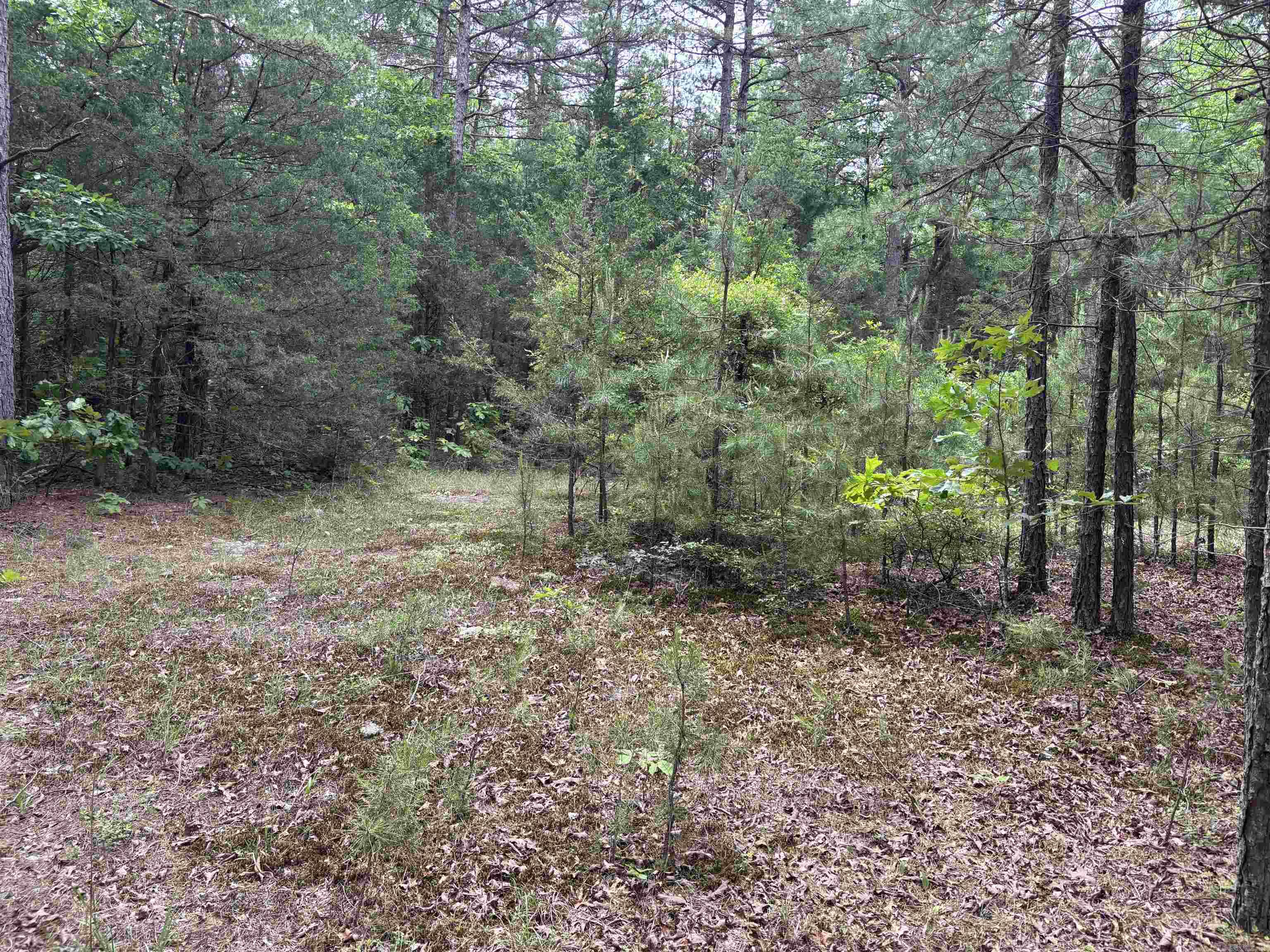 000  CR 197  Bradford, AR