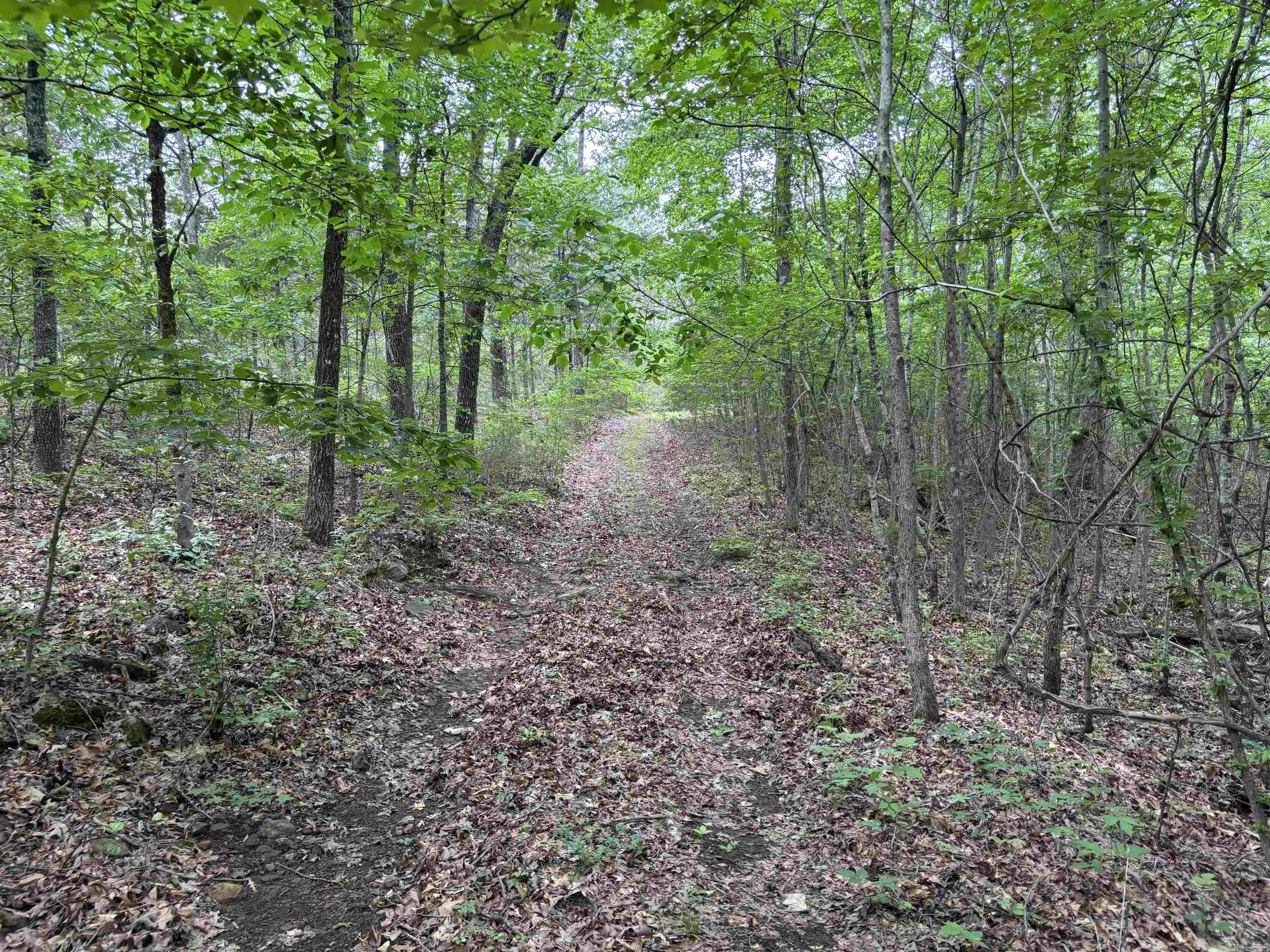 000  CR 197  Bradford, AR