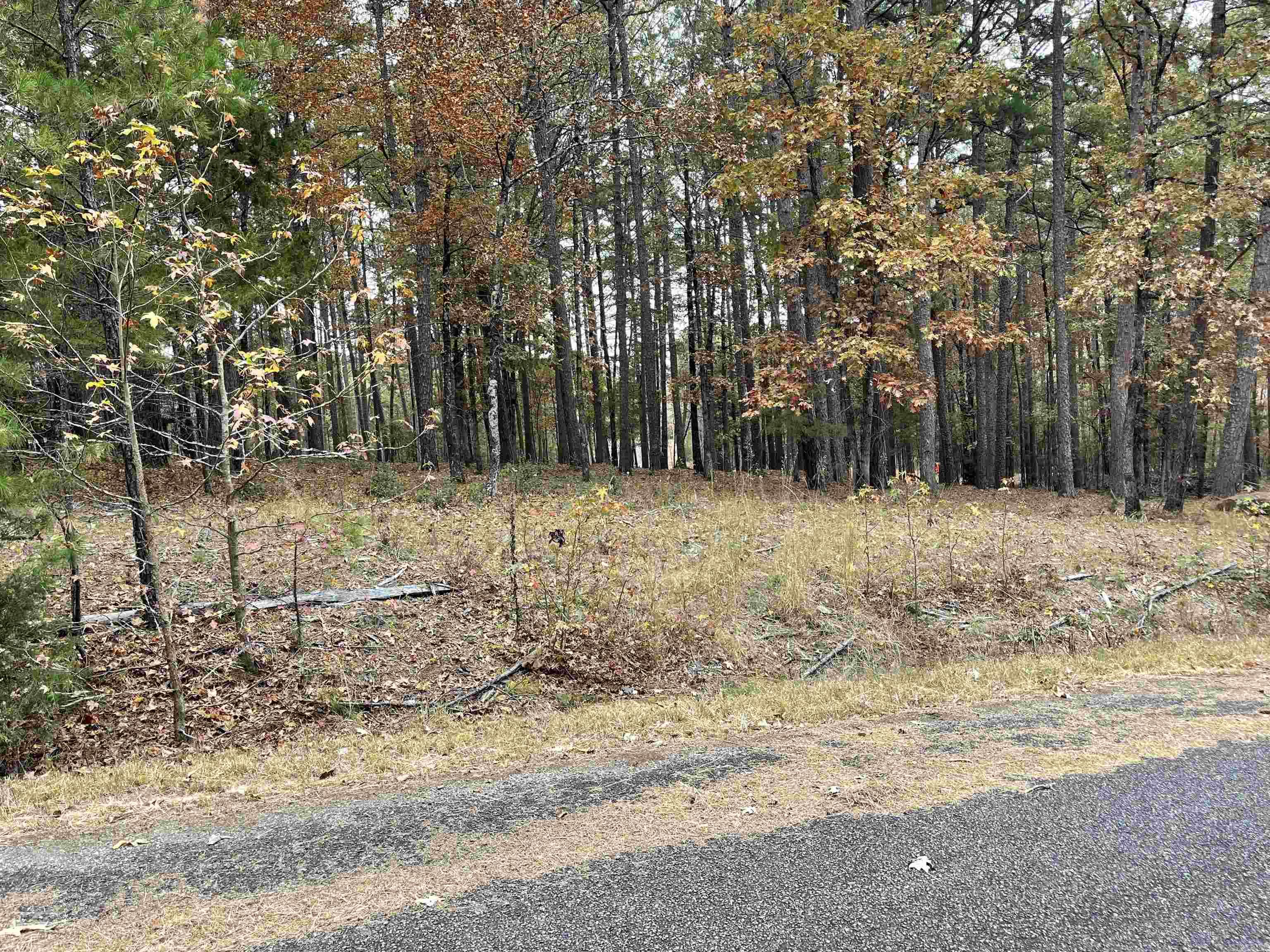 7  Lake Park Dr.  Shirley, AR