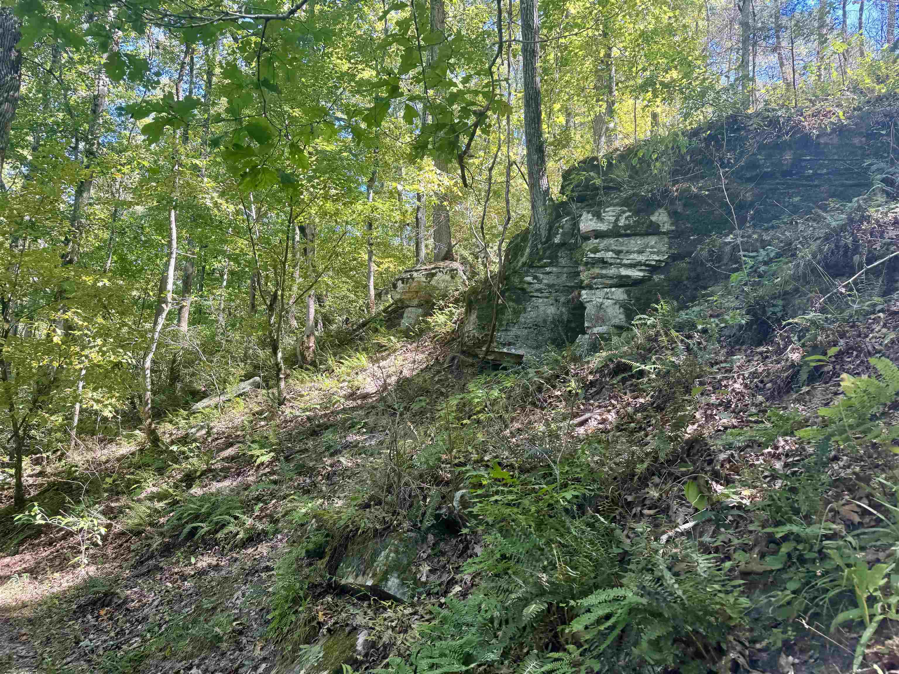7847 S AR 9 Hwy  Melbourne, AR