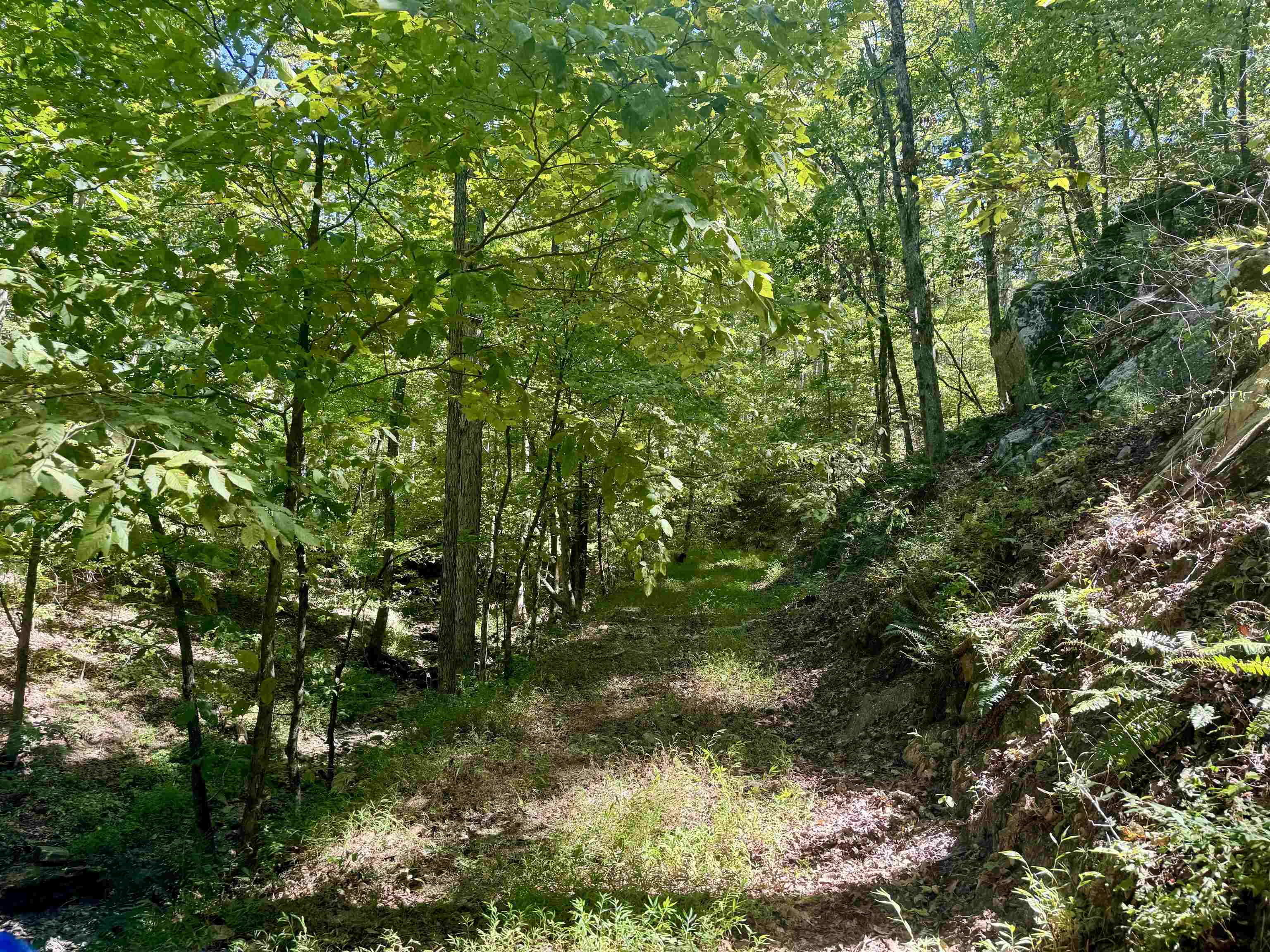 7847 S AR 9 Hwy  Melbourne, AR