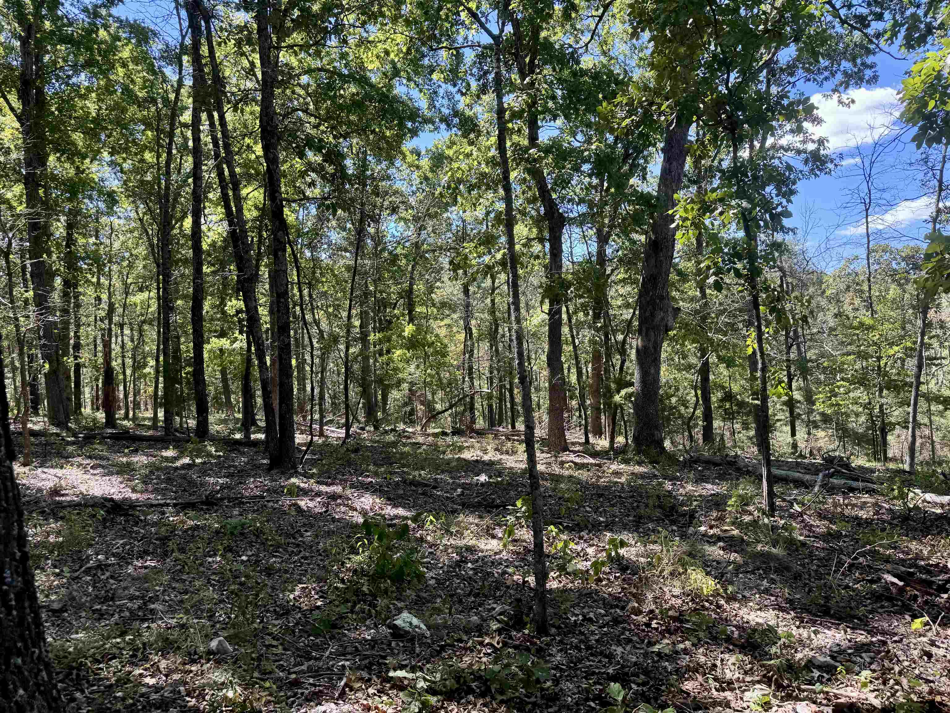 7847 S AR 9 Hwy  Melbourne, AR