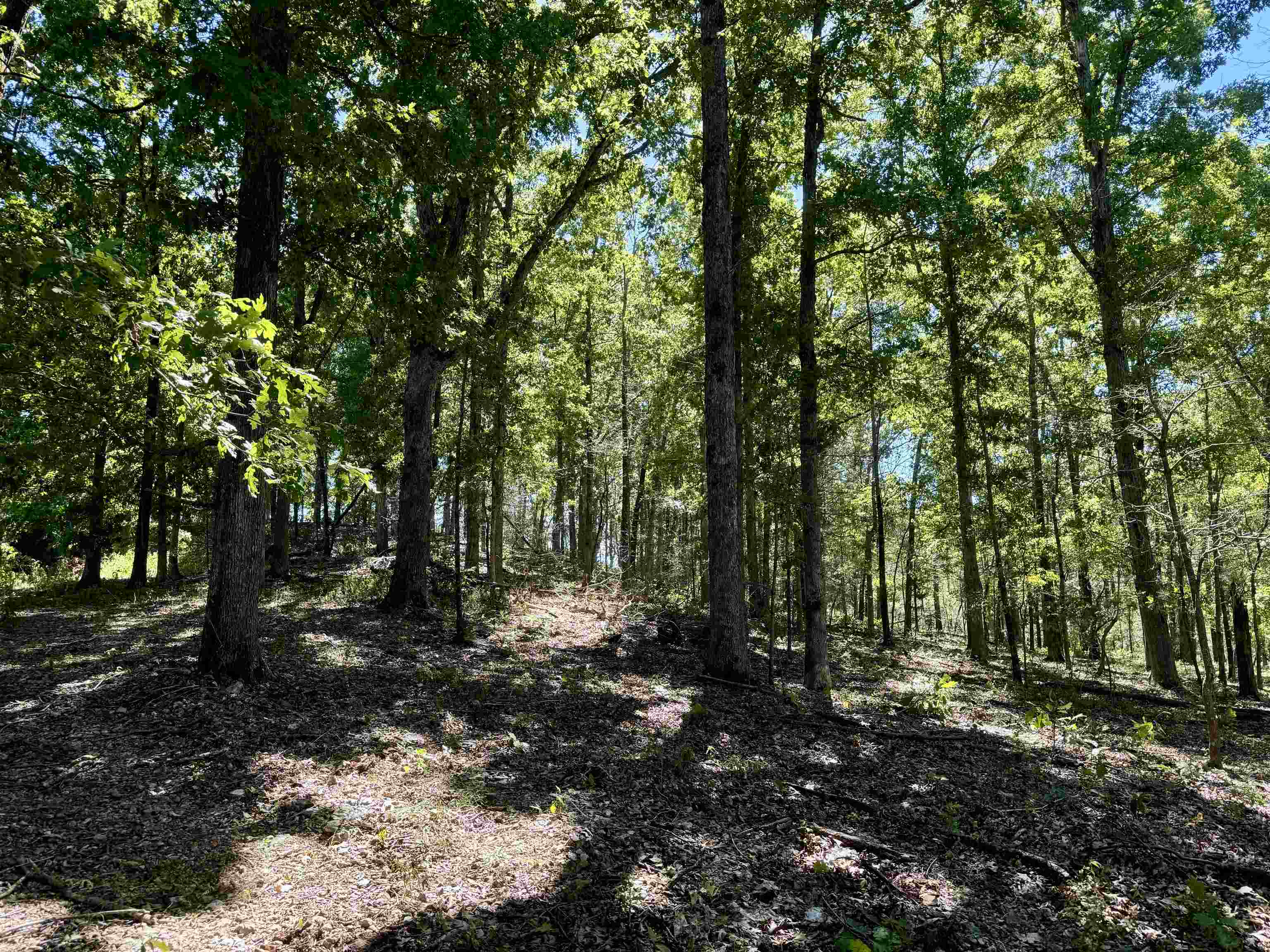 7847 S AR 9 Hwy  Melbourne, AR