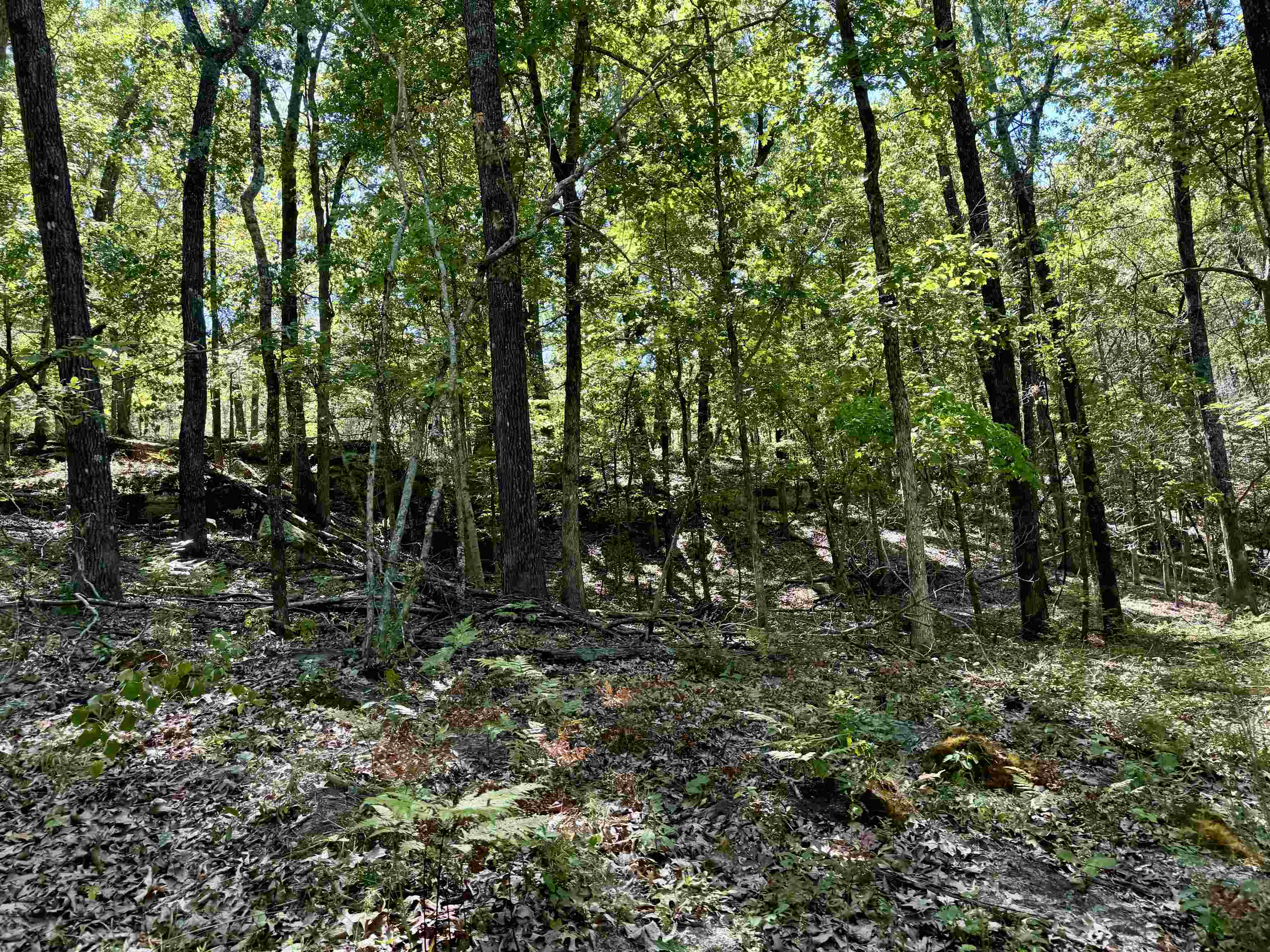 7847 S AR 9 Hwy  Melbourne, AR