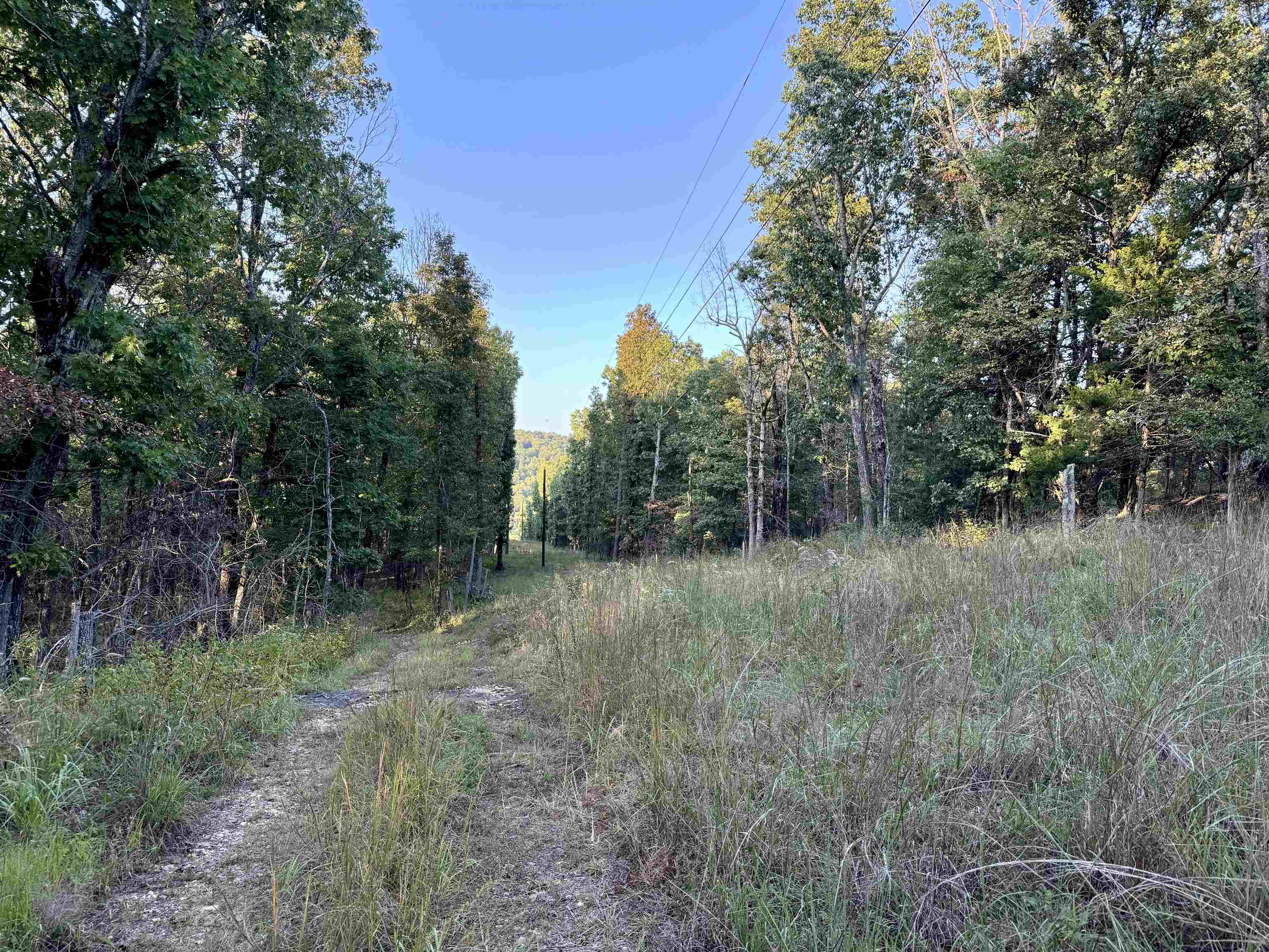 7847 S AR 9 Hwy  Melbourne, AR