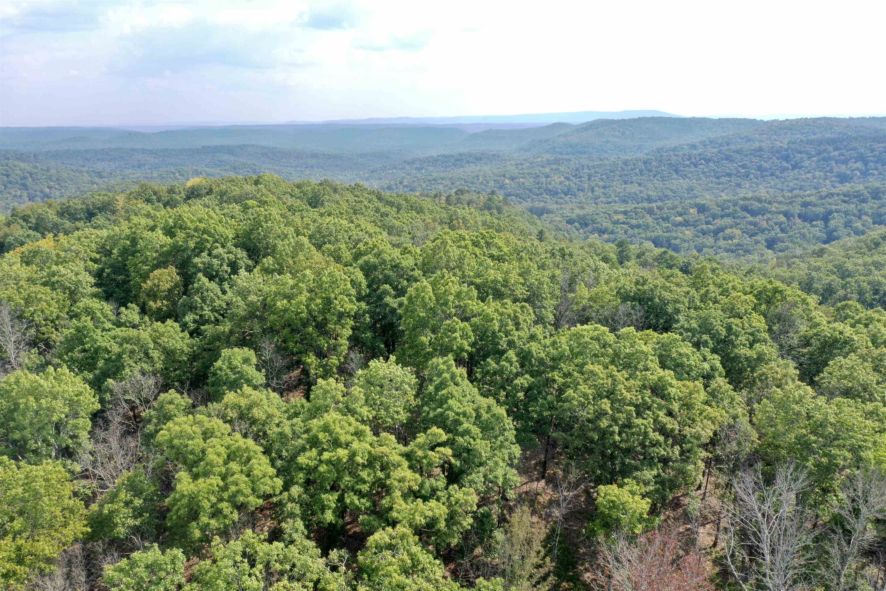 7847 S AR 9 Hwy  Melbourne, AR