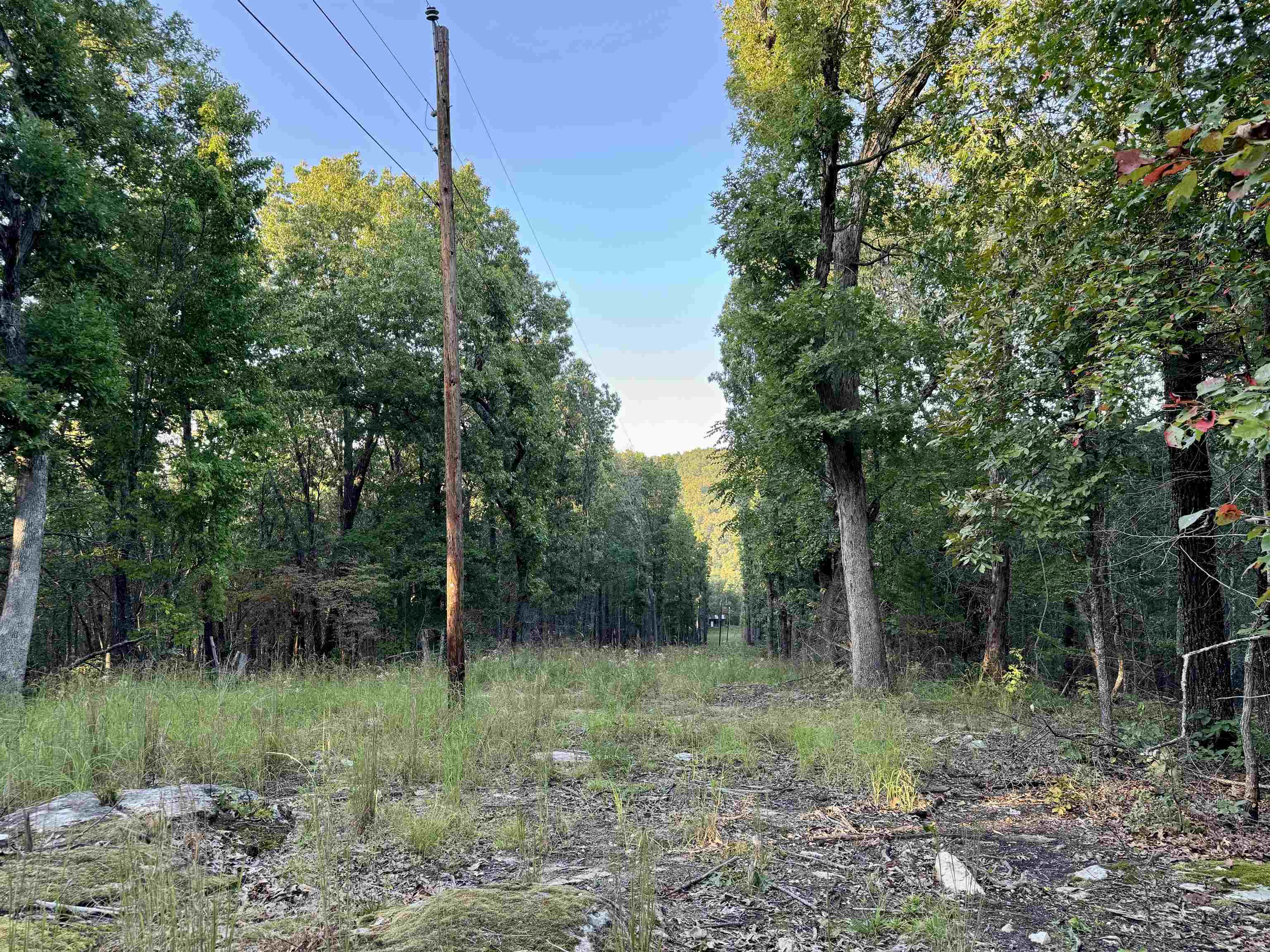 7847 S AR 9 Hwy  Melbourne, AR