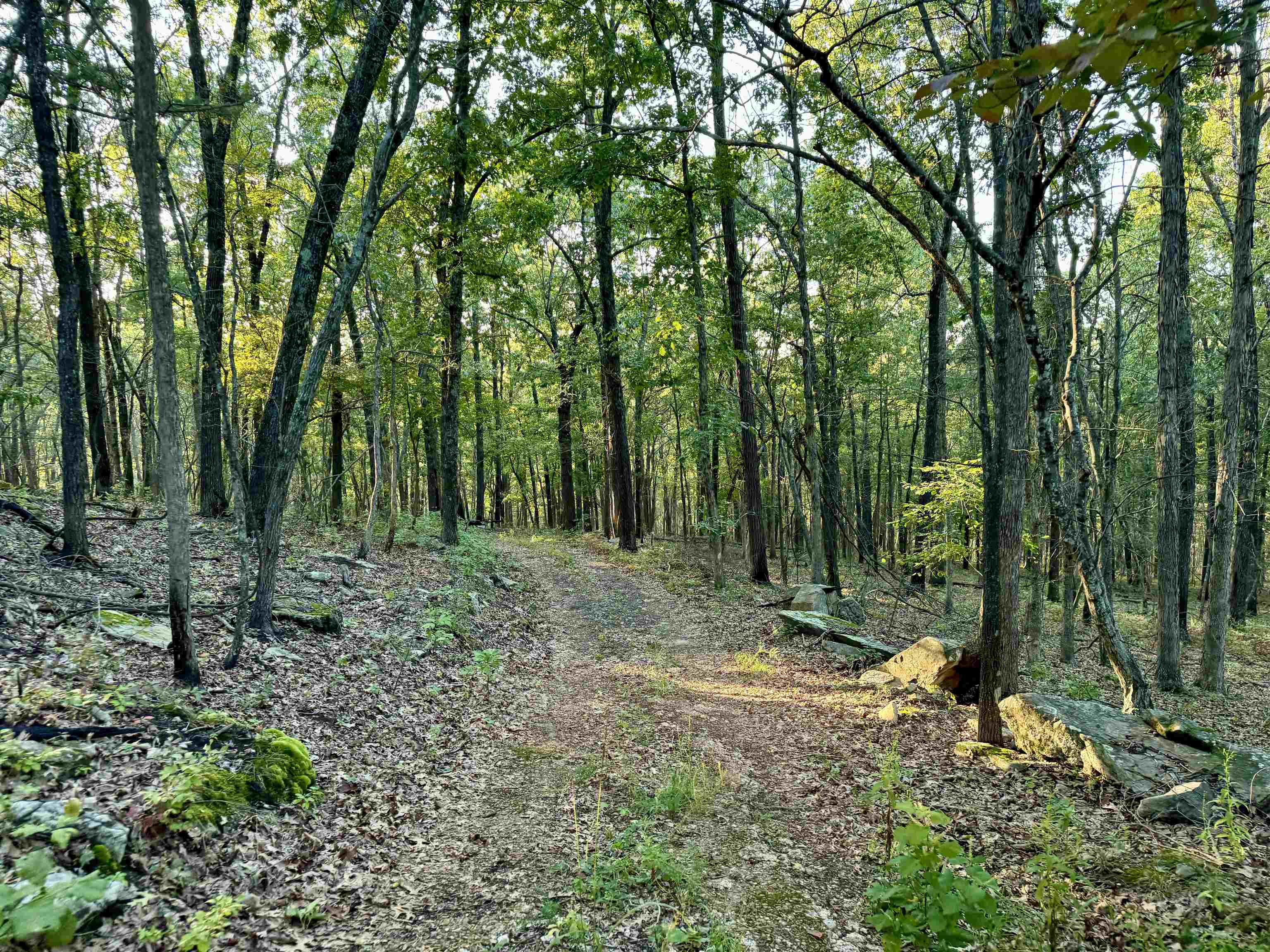 7847 S AR 9 Hwy  Melbourne, AR