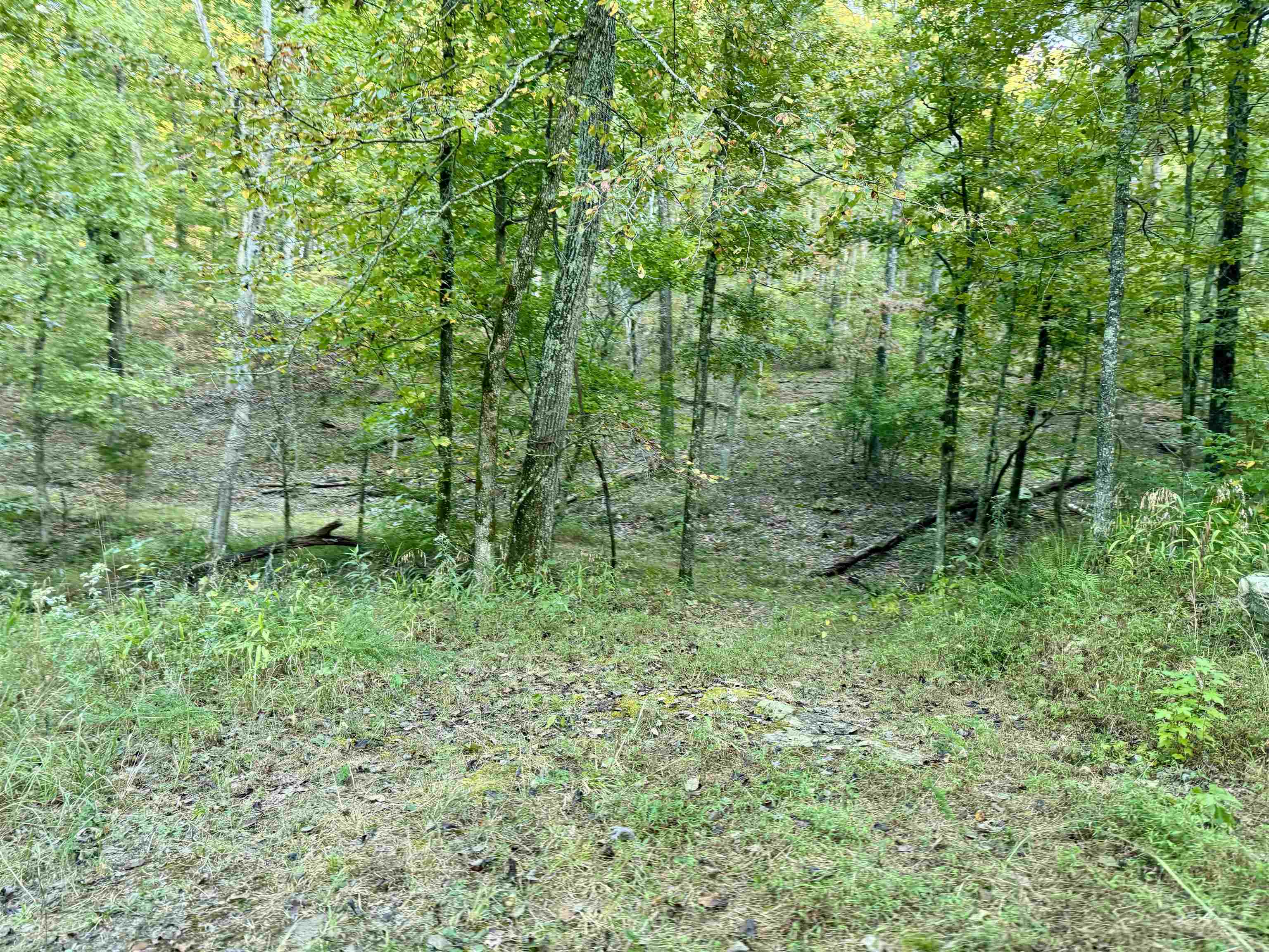 7847 S AR 9 Hwy  Melbourne, AR