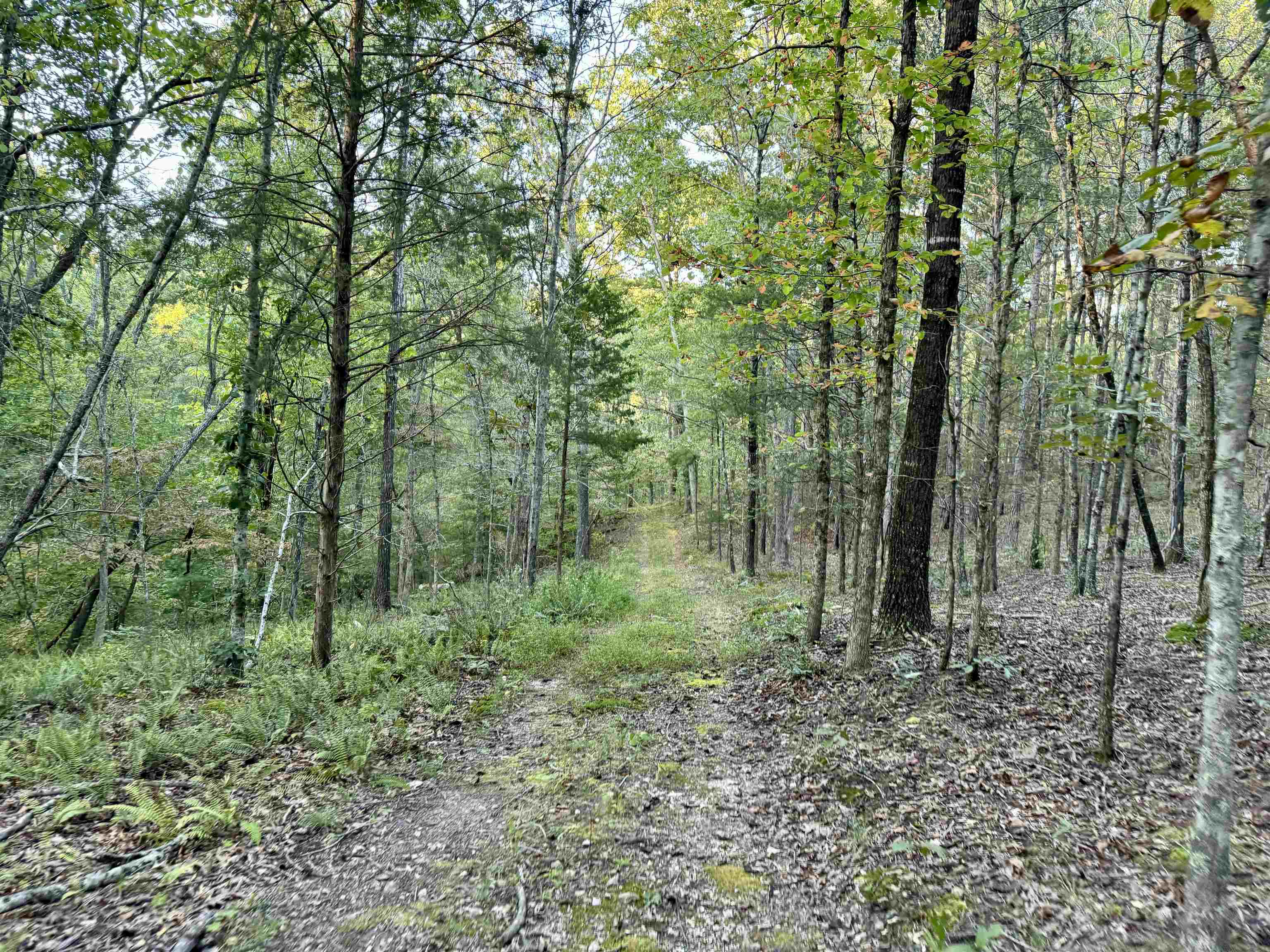 7847 S AR 9 Hwy  Melbourne, AR