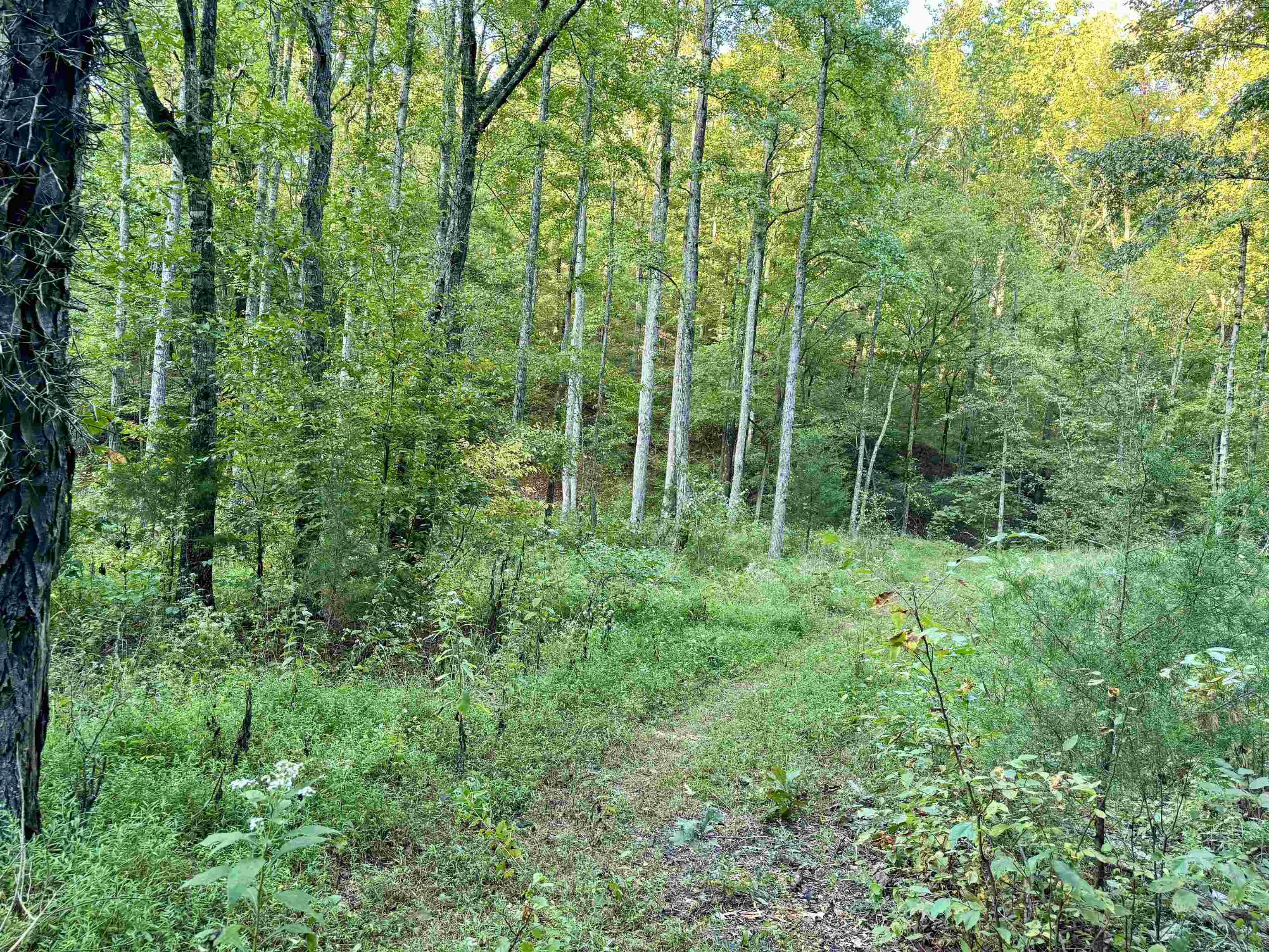 7847 S AR 9 Hwy  Melbourne, AR