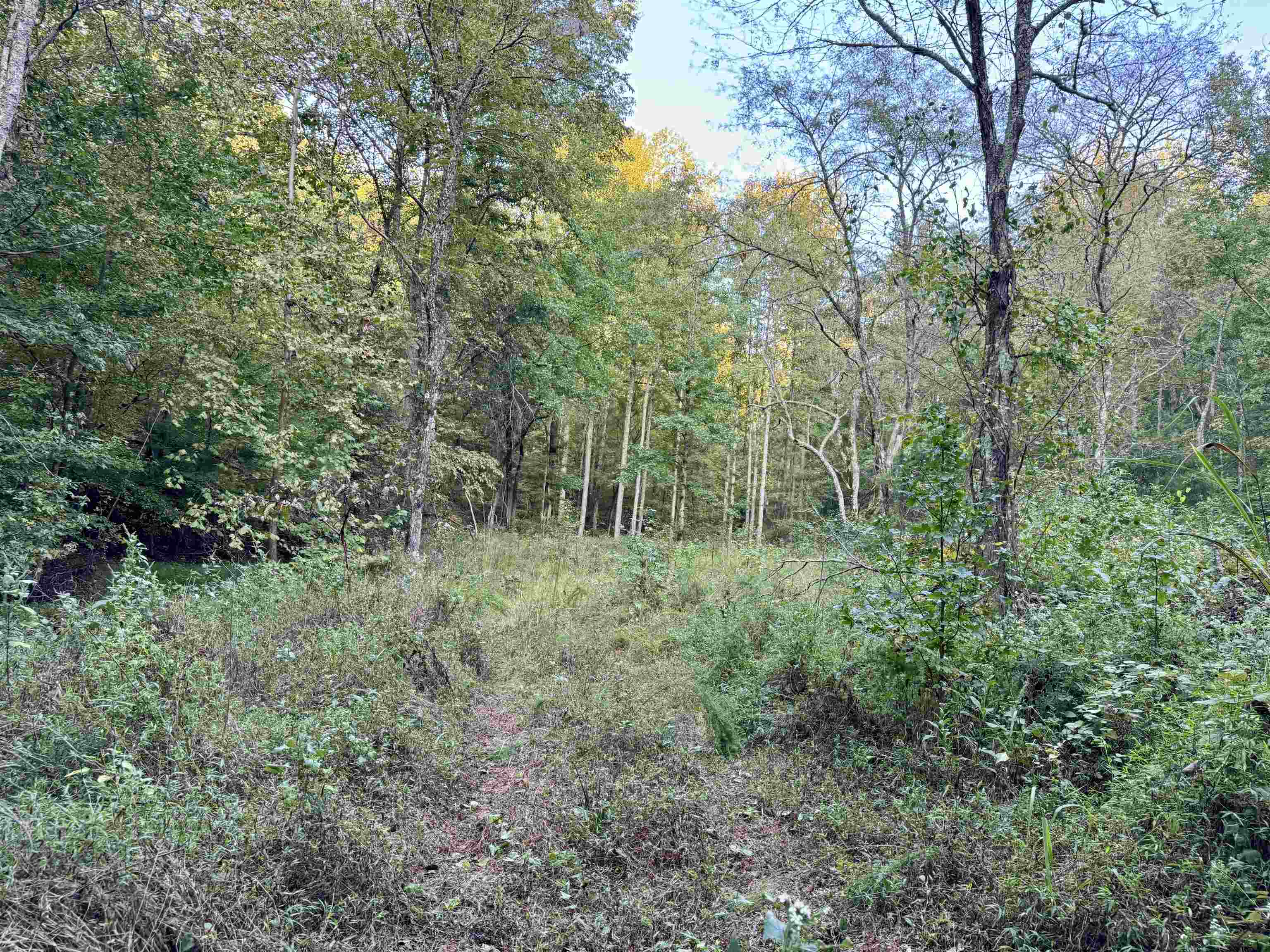 7847 S AR 9 Hwy  Melbourne, AR