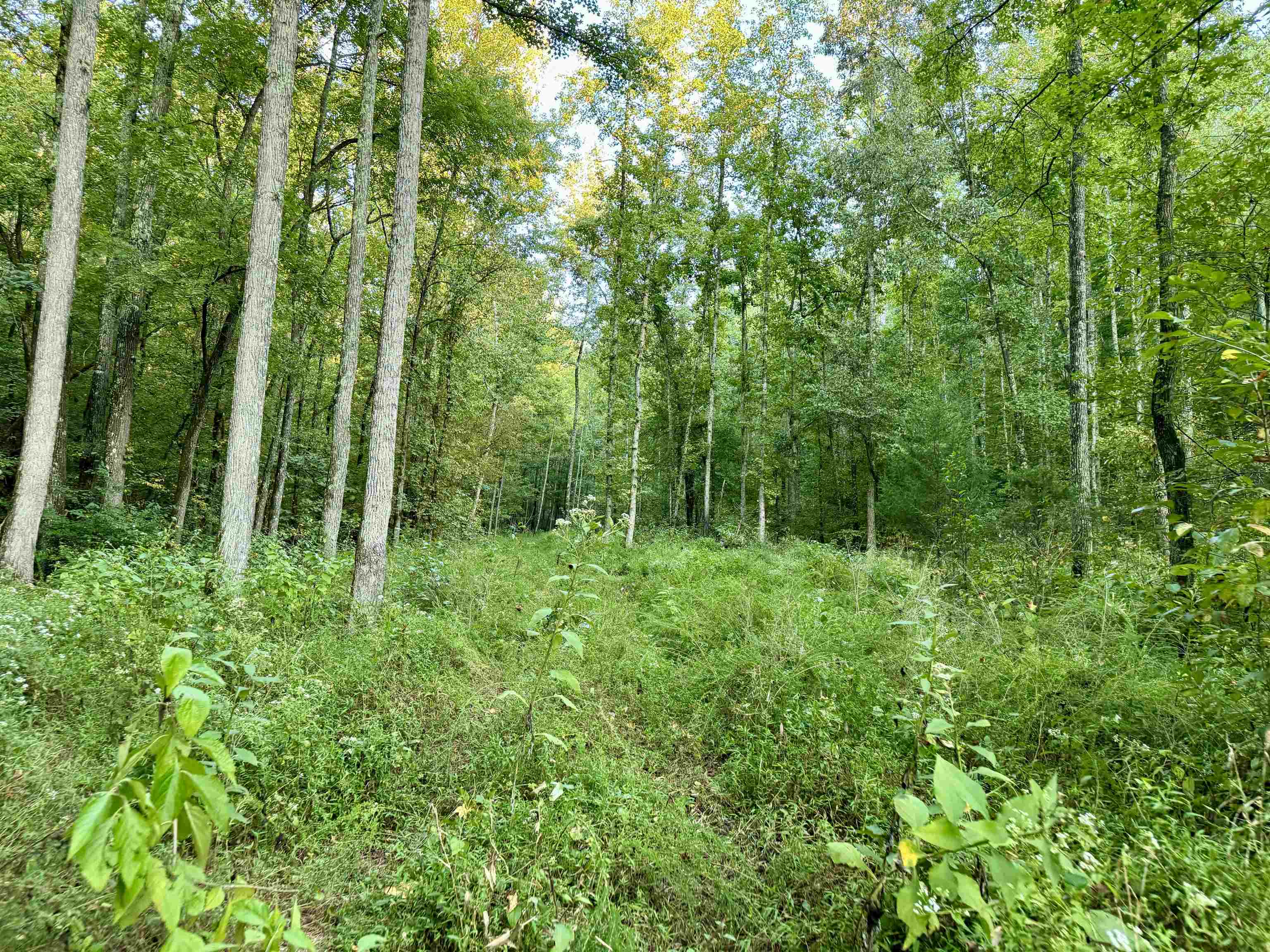 7847 S AR 9 Hwy  Melbourne, AR