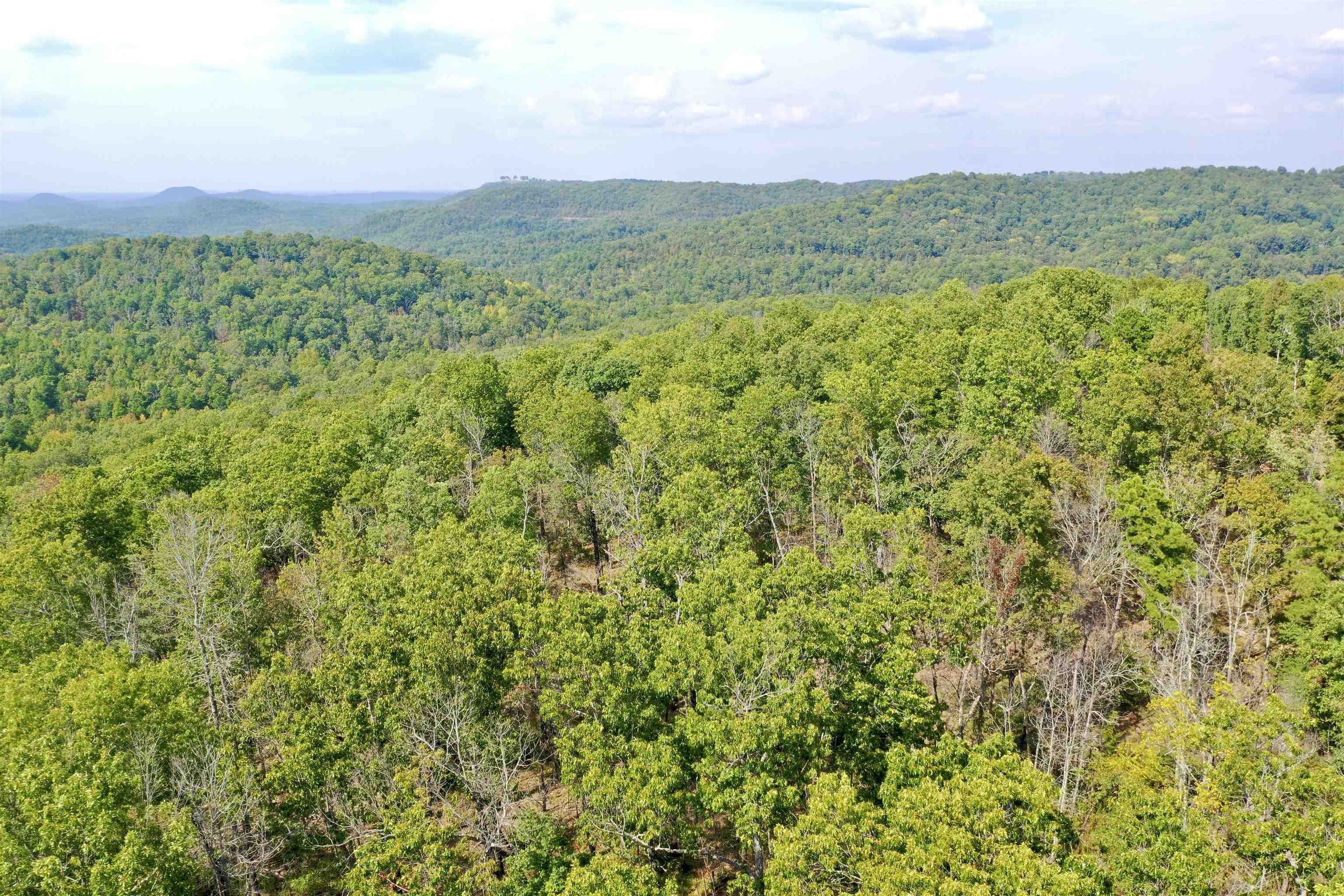 7847 S AR 9 Hwy  Melbourne, AR