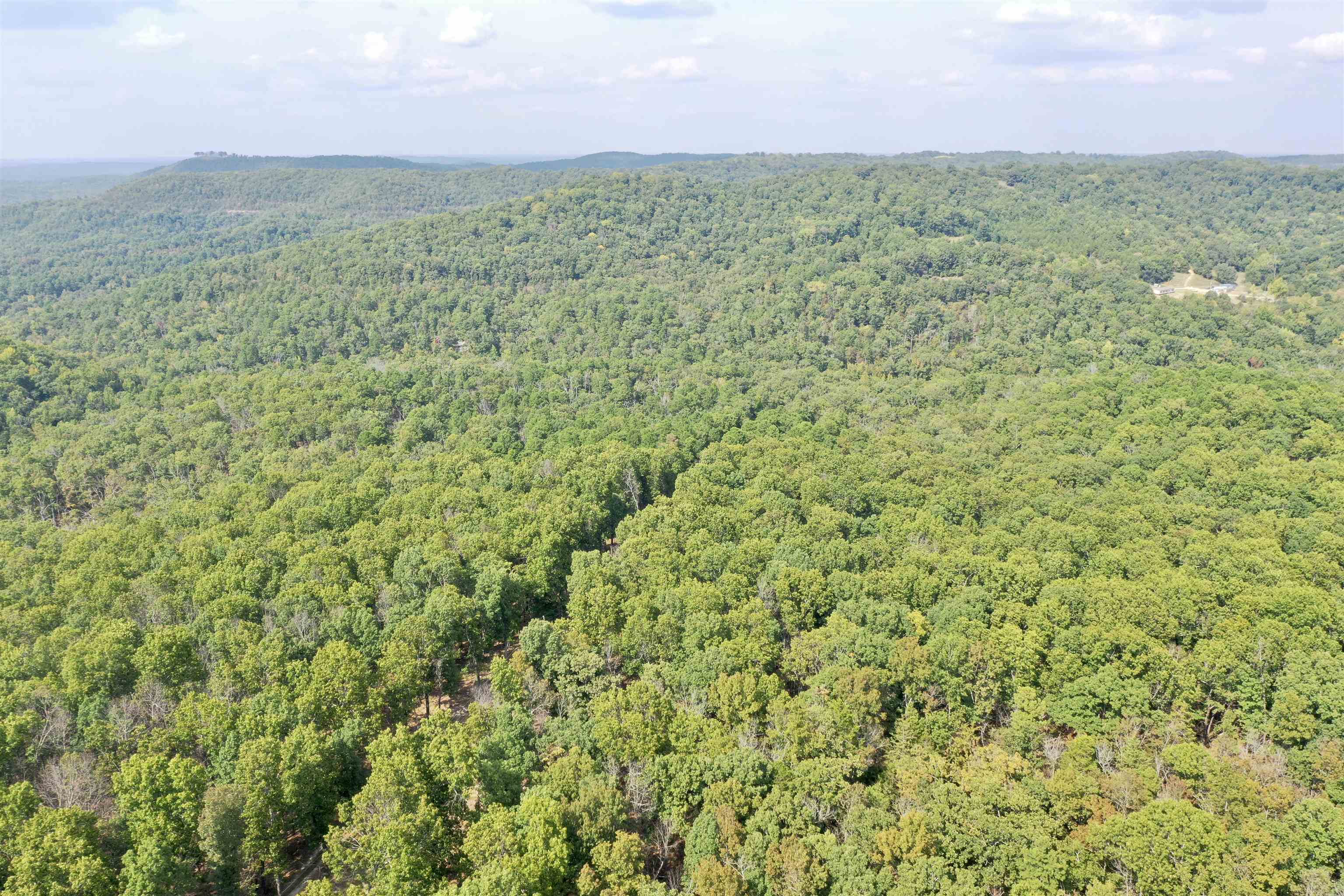 7847 S AR 9 Hwy  Melbourne, AR