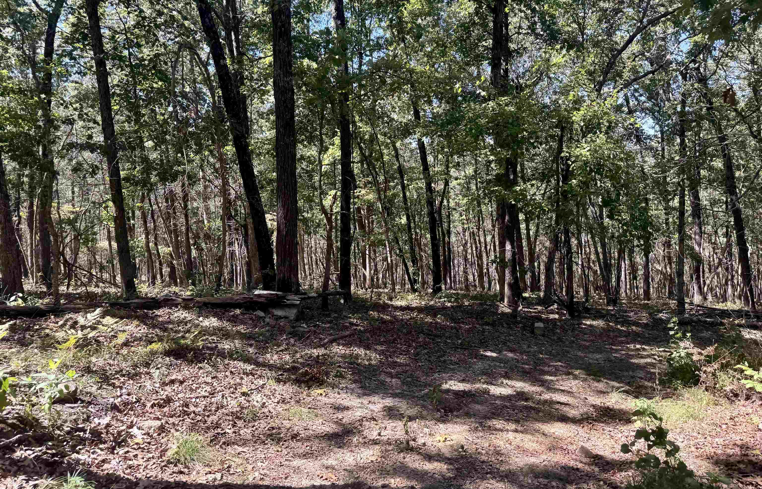7847 S AR 9 Hwy  Melbourne, AR