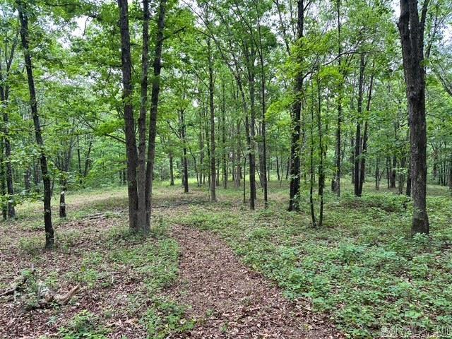 895  Ashwood Road  Clinton, AR