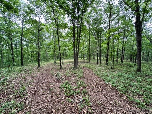 895  Ashwood Road  Clinton, AR