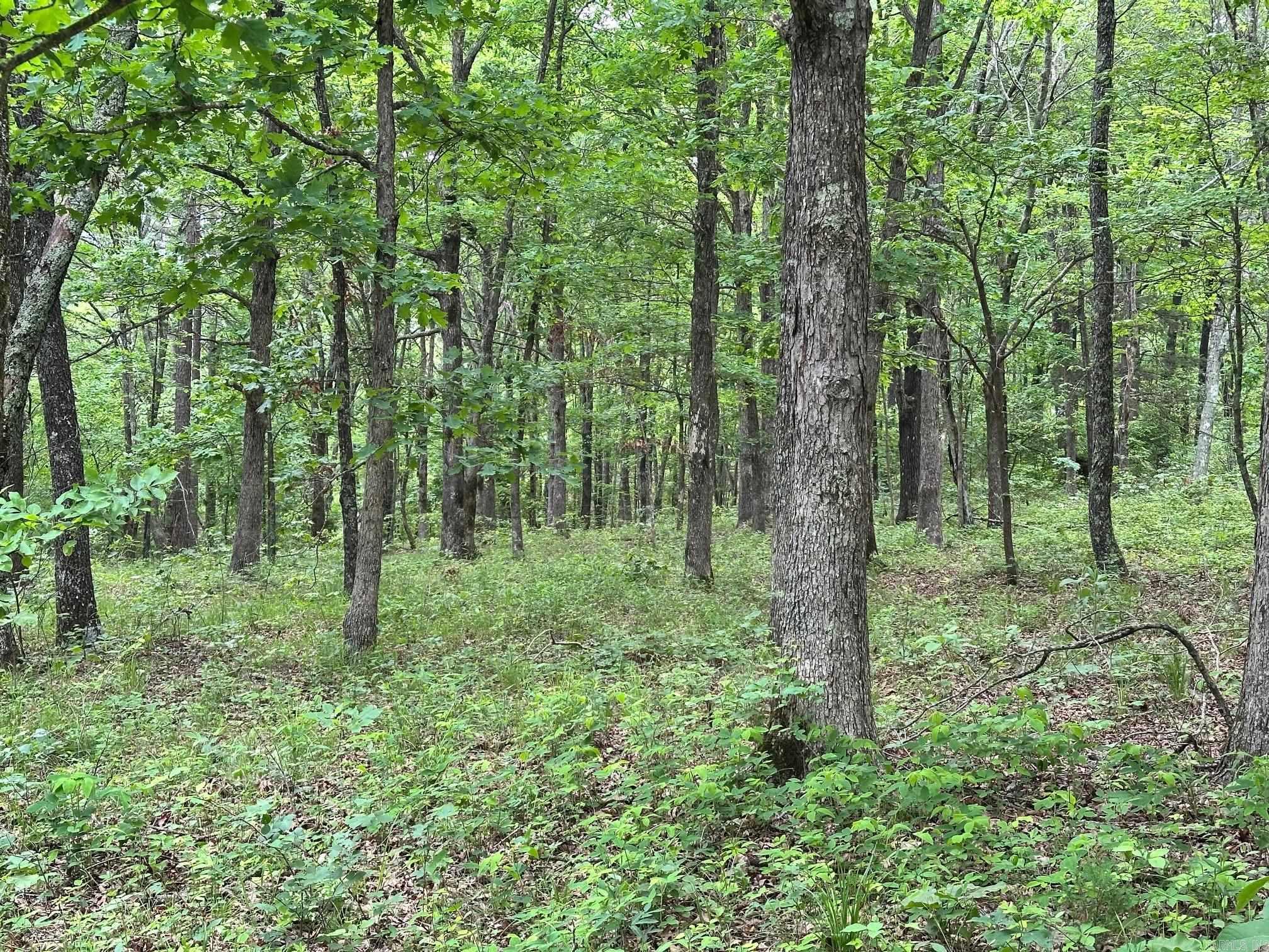 895  Ashwood Road  Clinton, AR