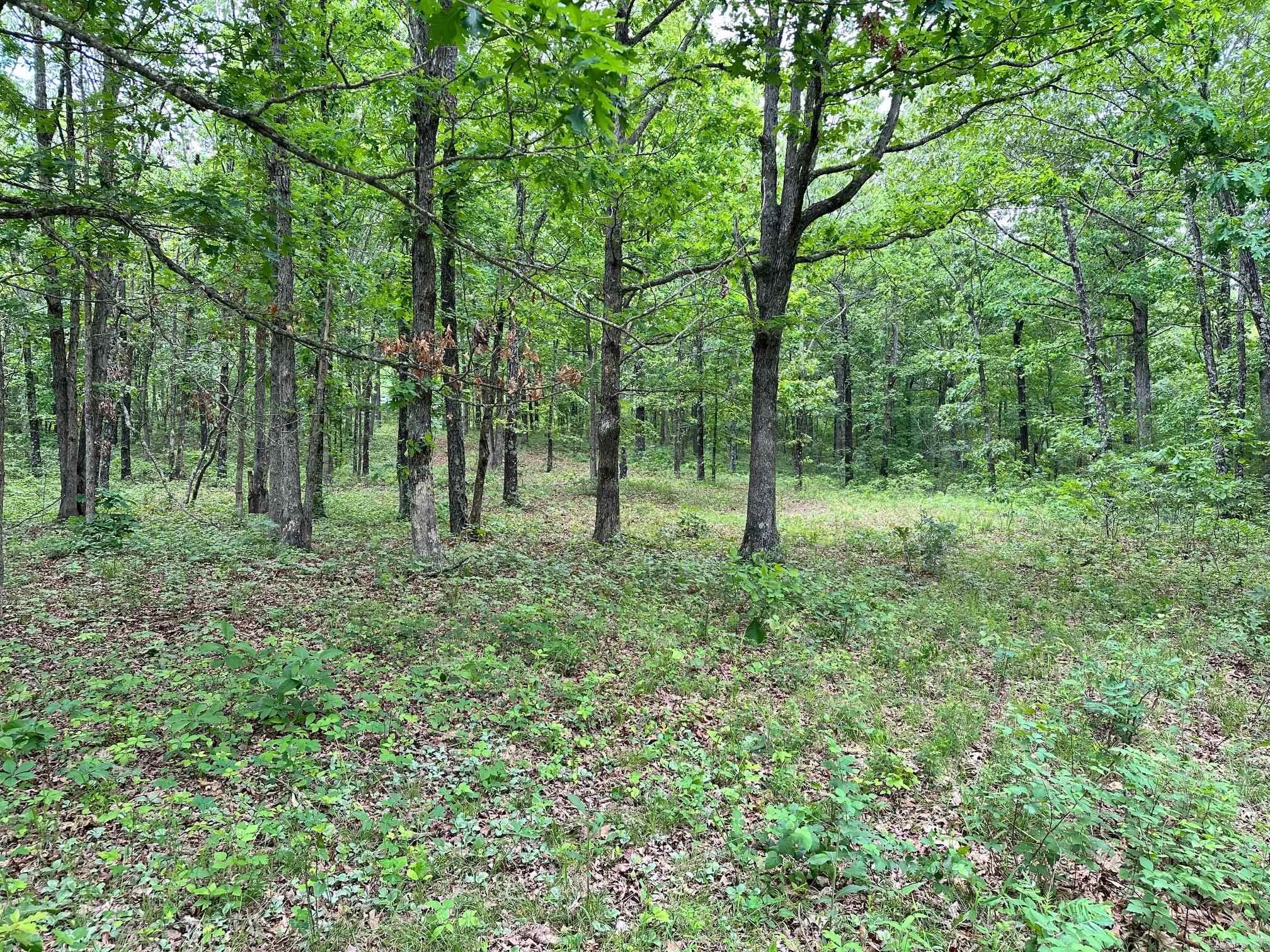 895  Ashwood Road  Clinton, AR