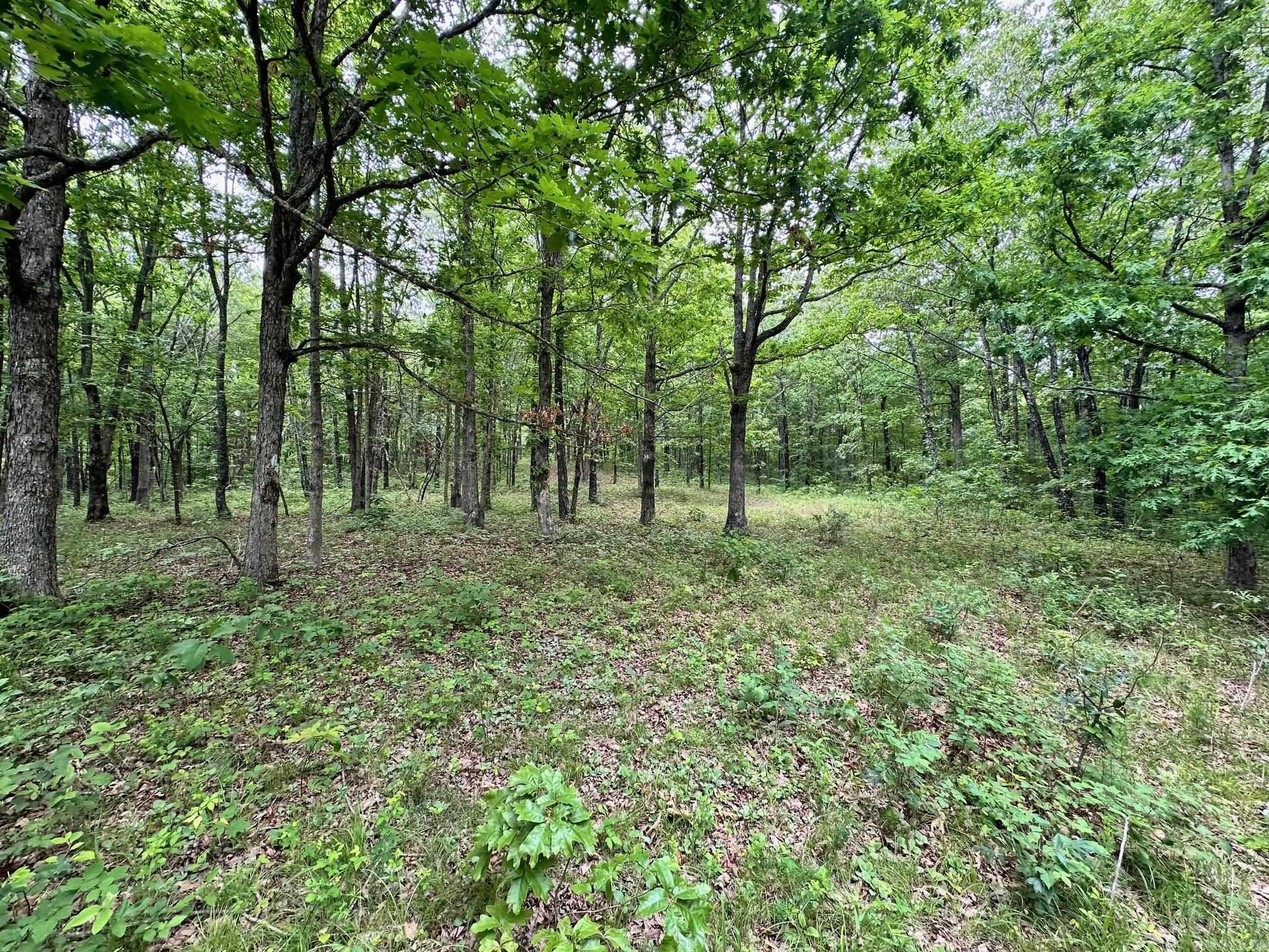 895  Ashwood Road  Clinton, AR