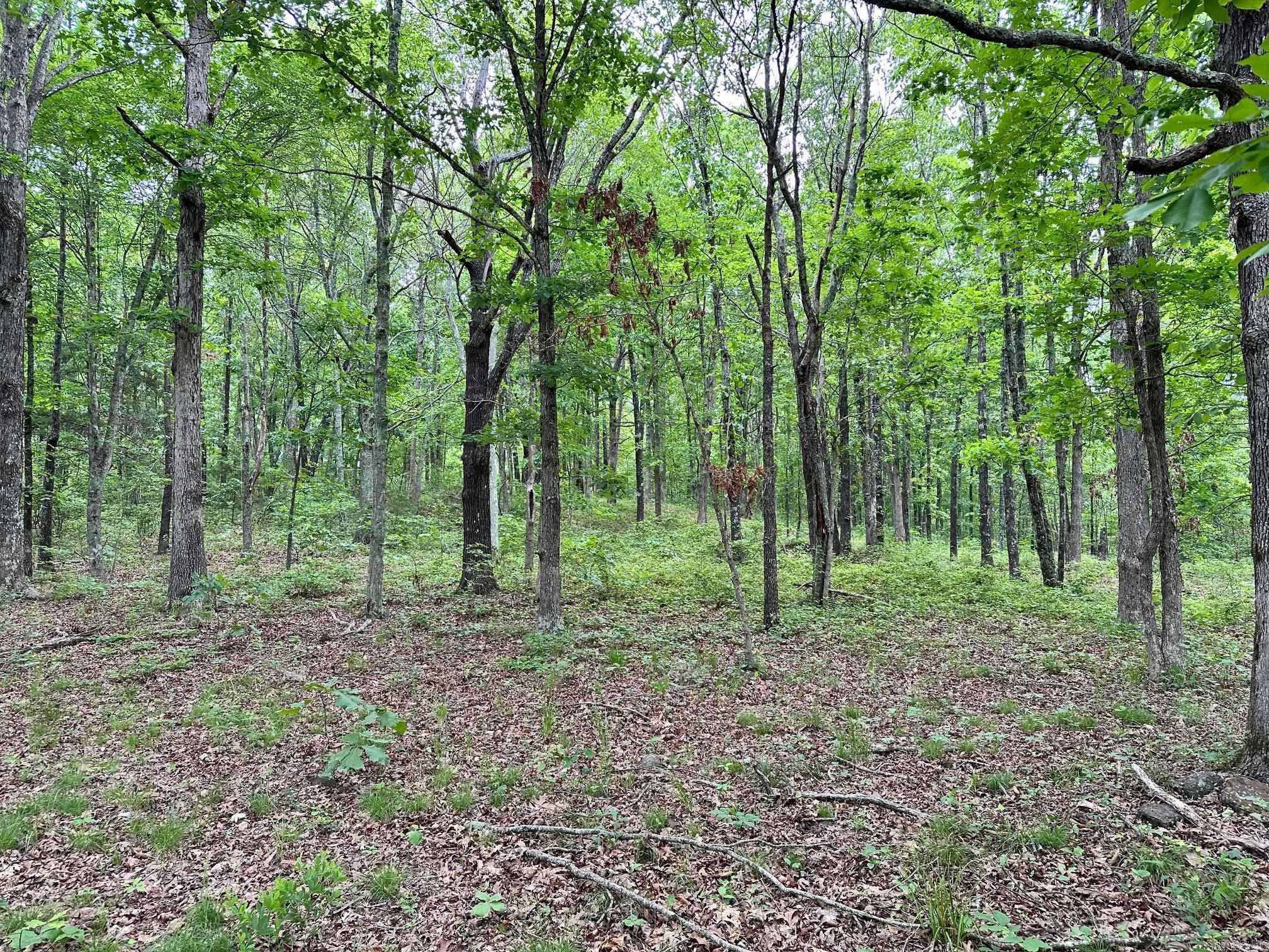 895  Ashwood Road  Clinton, AR