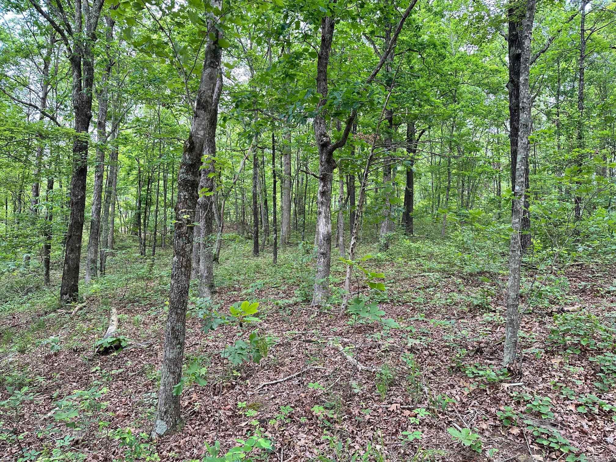 895  Ashwood Road  Clinton, AR