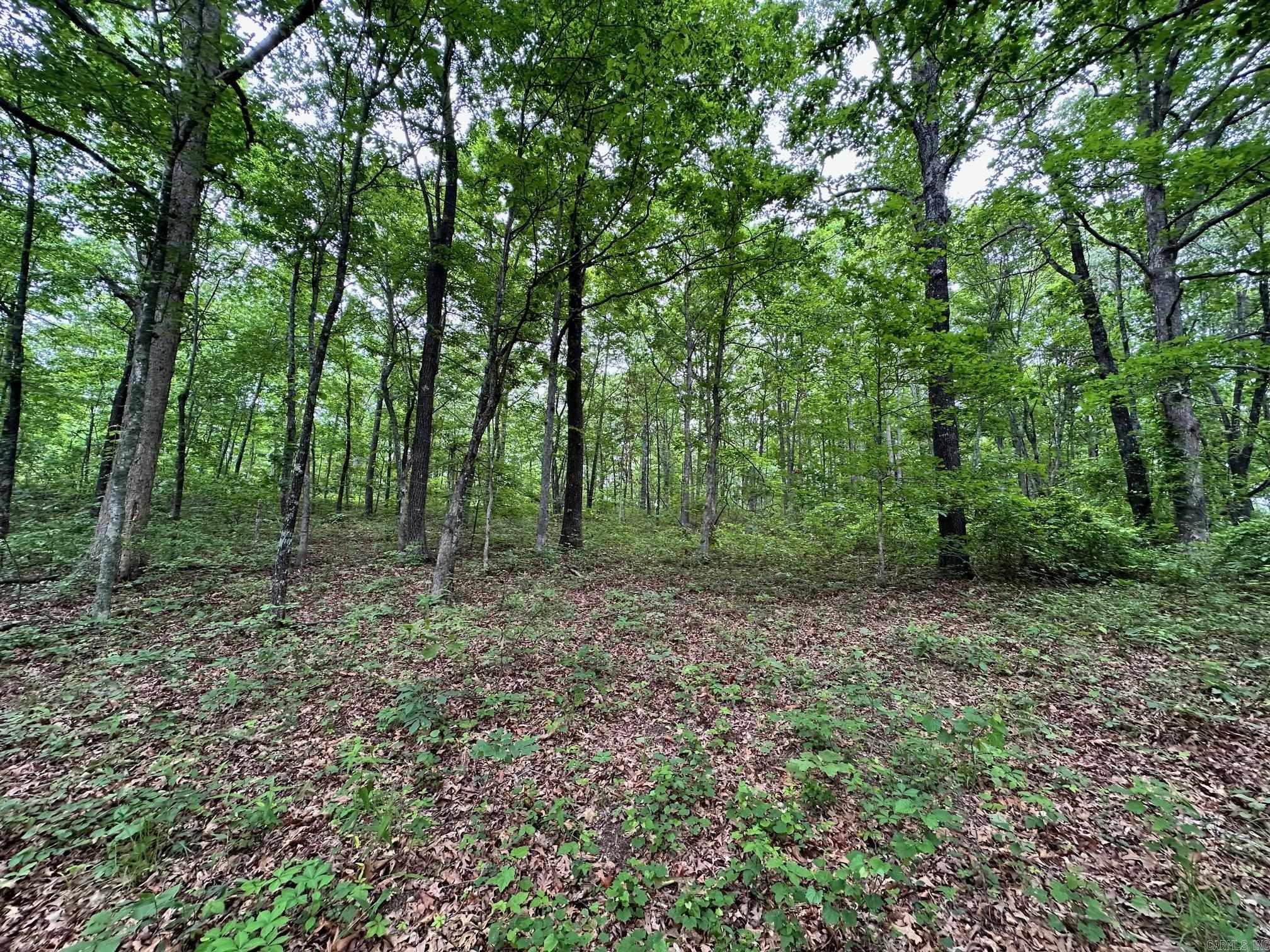 895  Ashwood Road  Clinton, AR