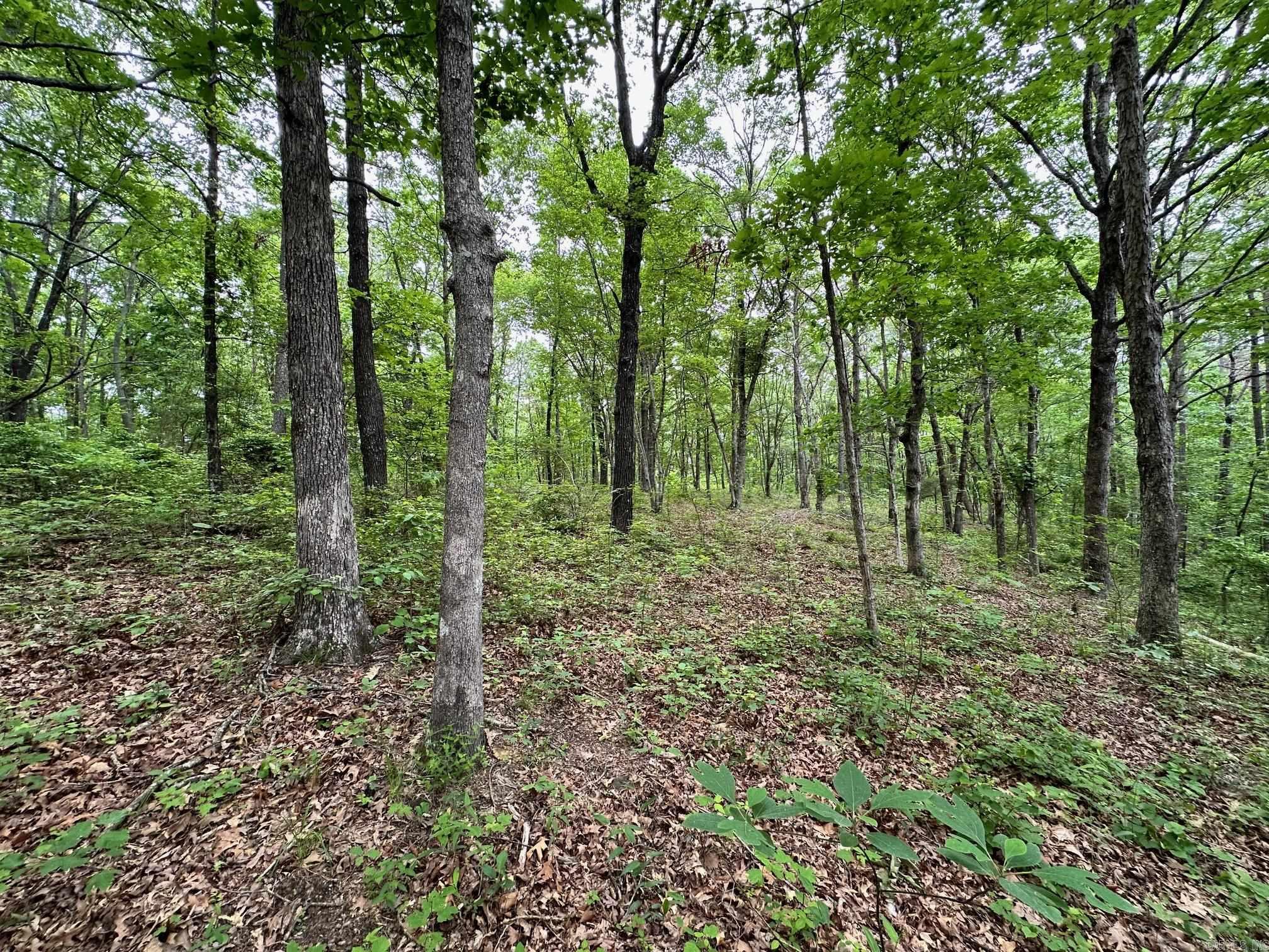 895  Ashwood Road  Clinton, AR