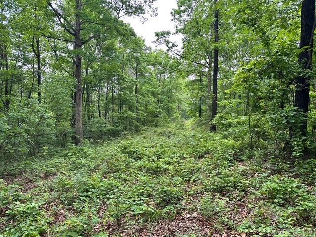 895  Ashwood Road  Clinton, AR