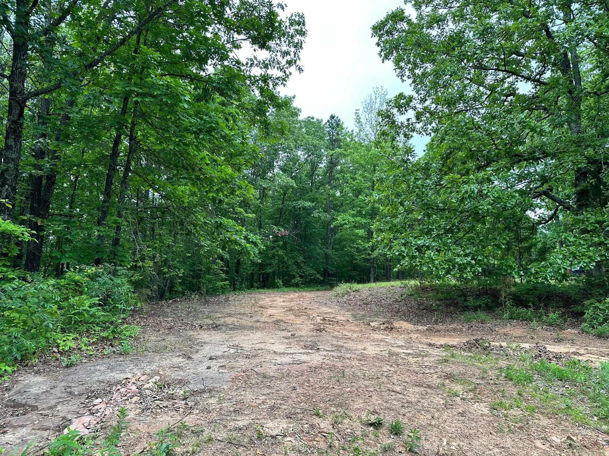 895  Ashwood Road  Clinton, AR
