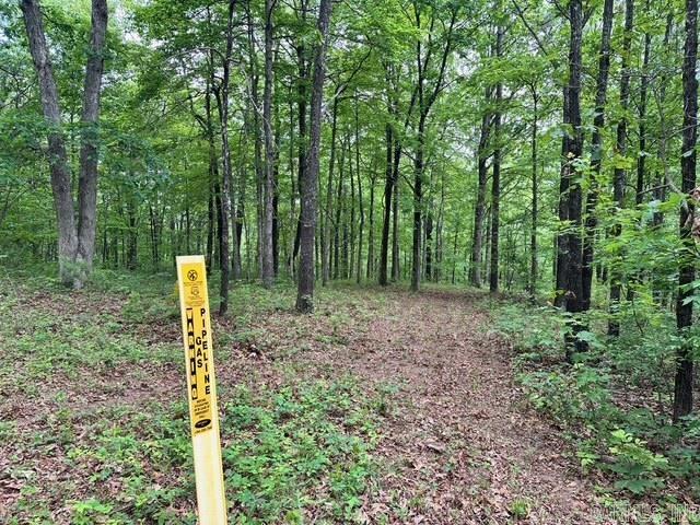 895  Ashwood Road  Clinton, AR