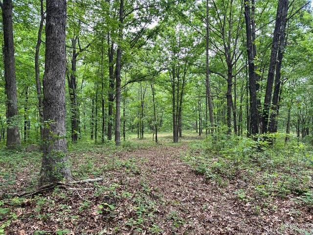 895  Ashwood Road  Clinton, AR