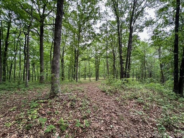 895  Ashwood Road  Clinton, AR