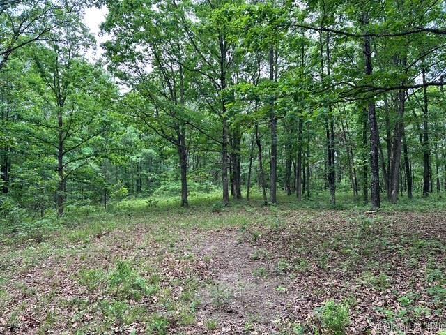 895  Ashwood Road  Clinton, AR