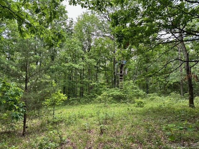 895  Ashwood Road  Clinton, AR
