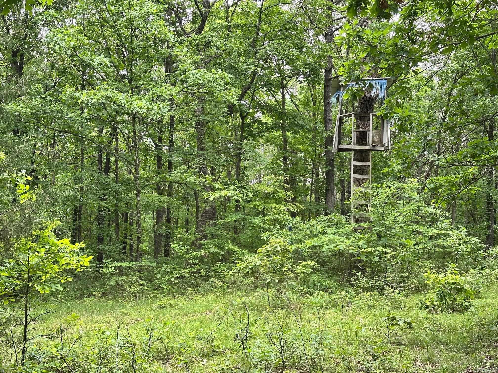895  Ashwood Road  Clinton, AR