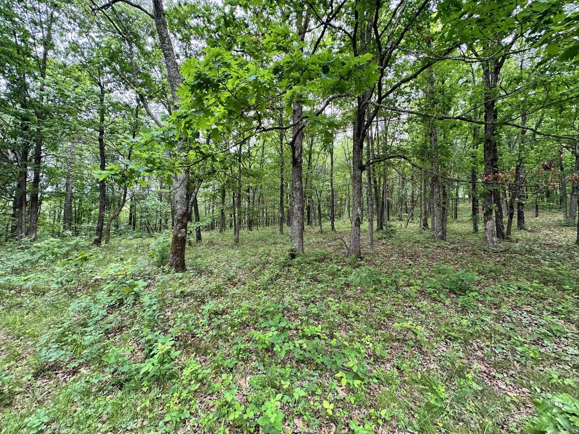 895  Ashwood Road  Clinton, AR