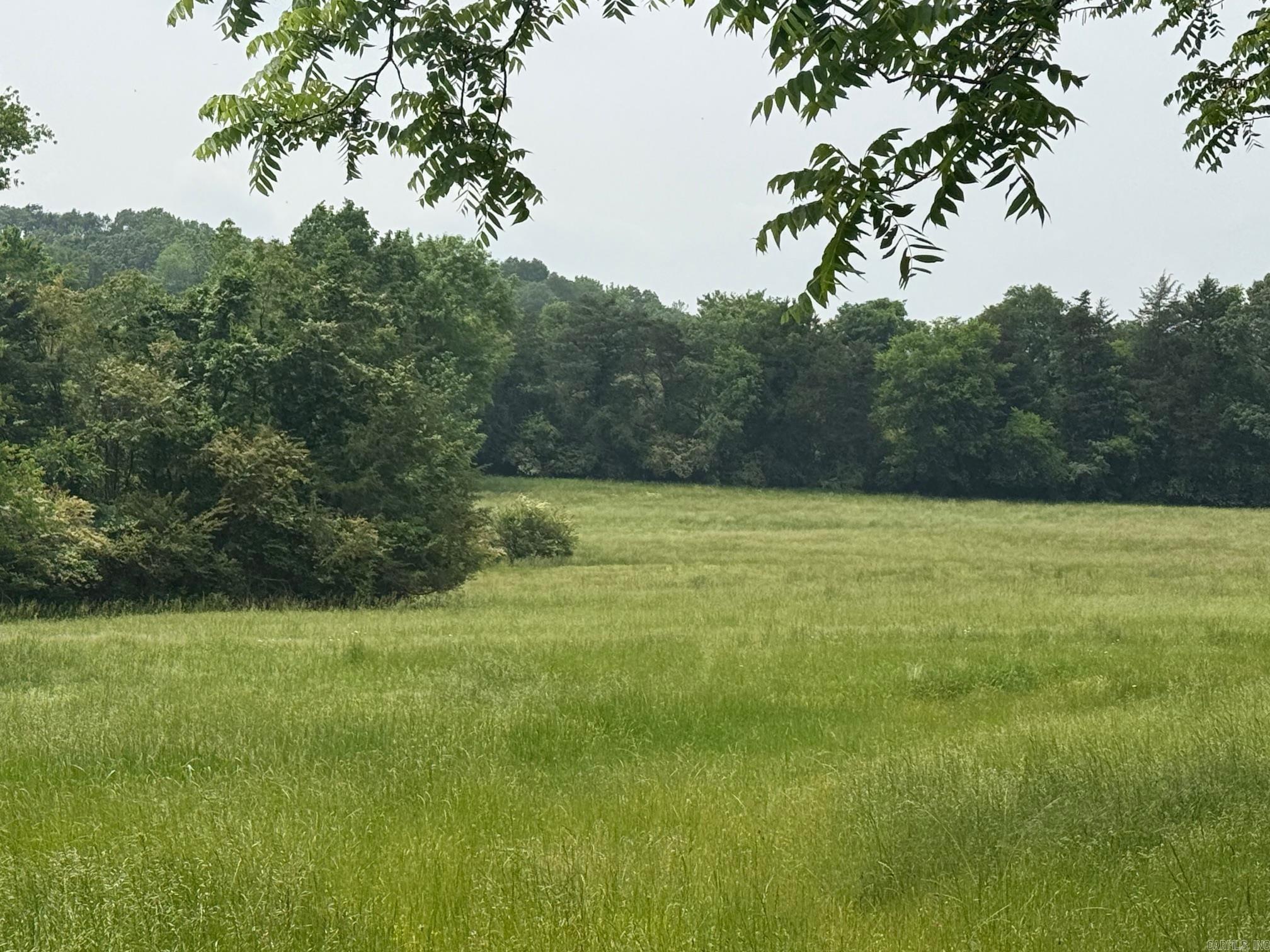 TBD  Polk Road 93  Mena, AR