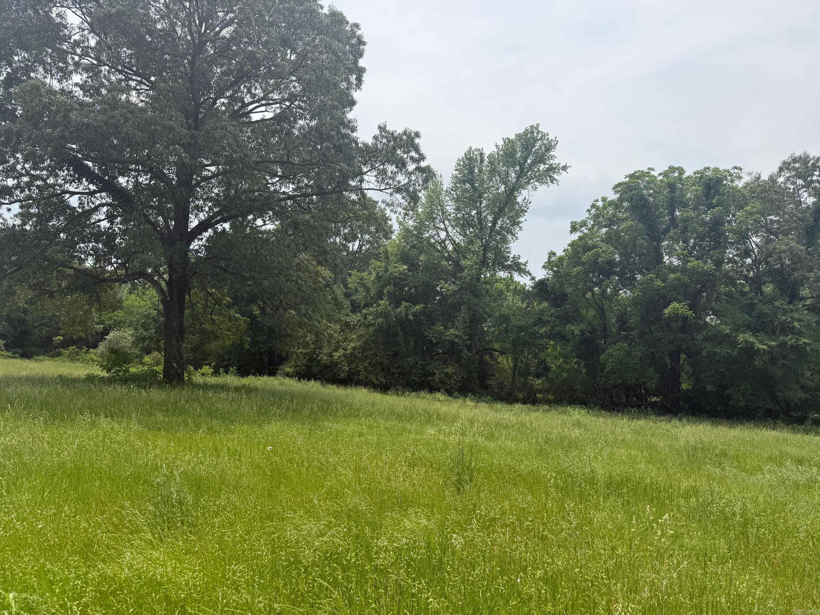 TBD  Polk Road 93  Mena, AR