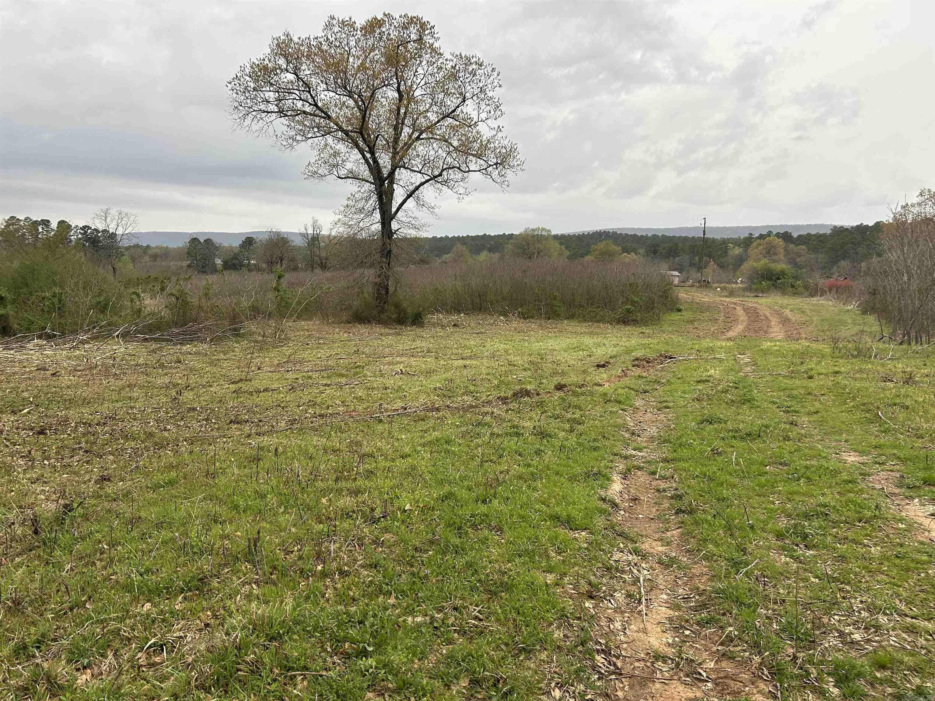 13673  Young Gravelly  Gravelly, AR