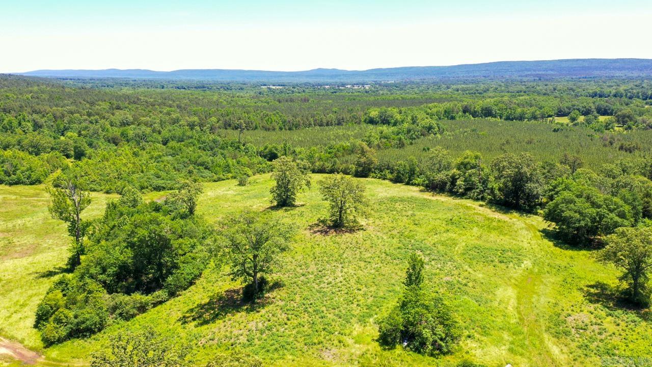 13673  Young Gravelly  Gravelly, AR
