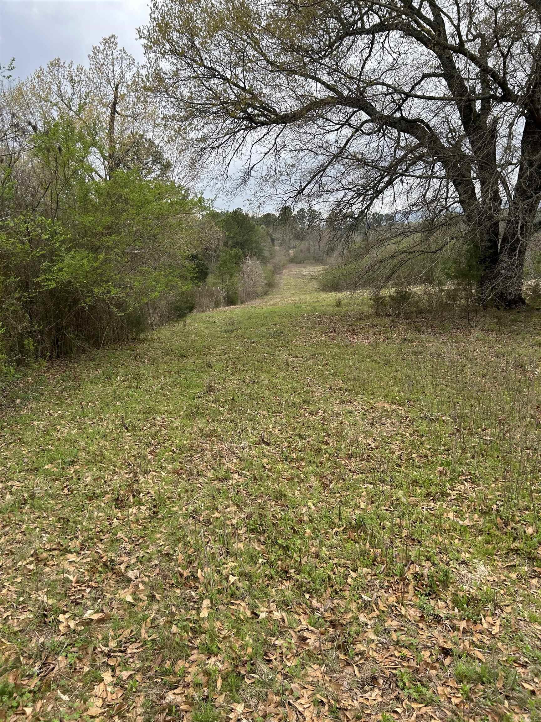 13673  Young Gravelly  Gravelly, AR