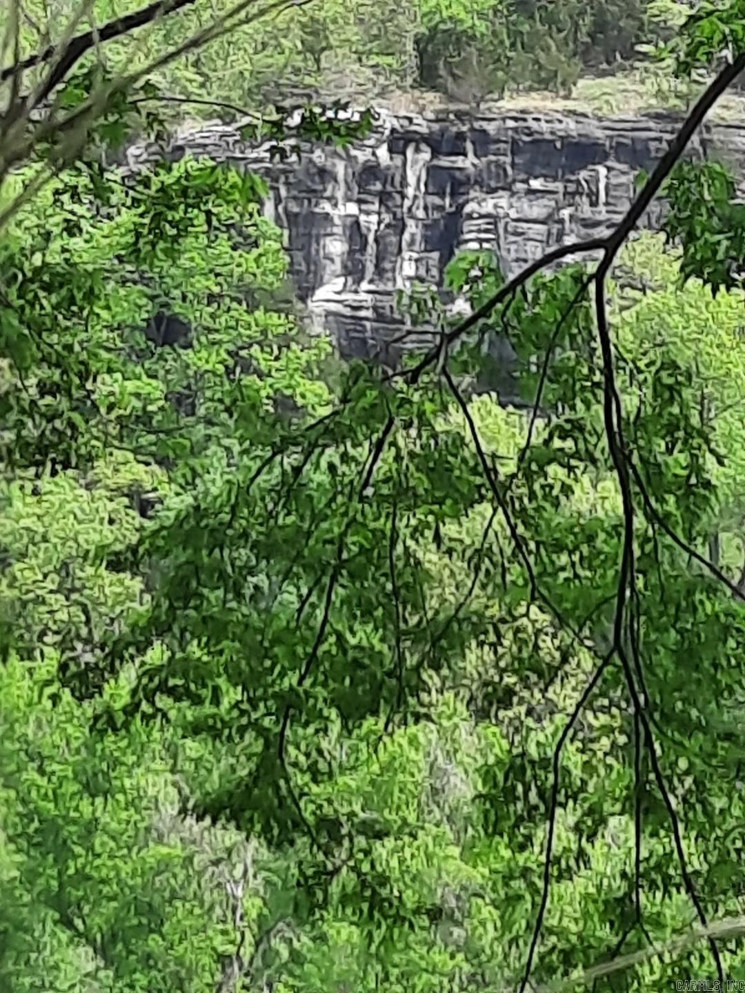 Lt 3  Jellon  Mountain View, AR