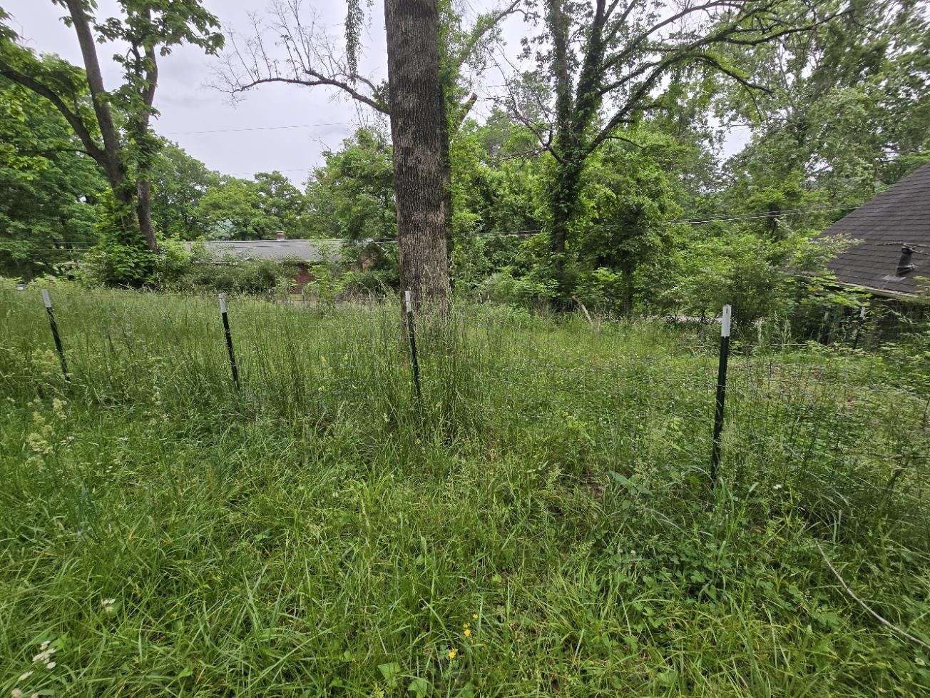 171  Riverbend  Mammoth Spring, AR