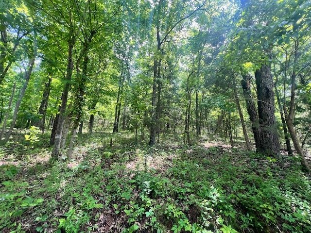 TBD  Missouri Line Road  Mammoth Spring, AR