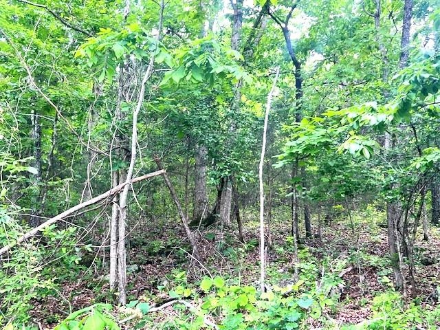 TBD  Missouri Line Road  Mammoth Spring, AR