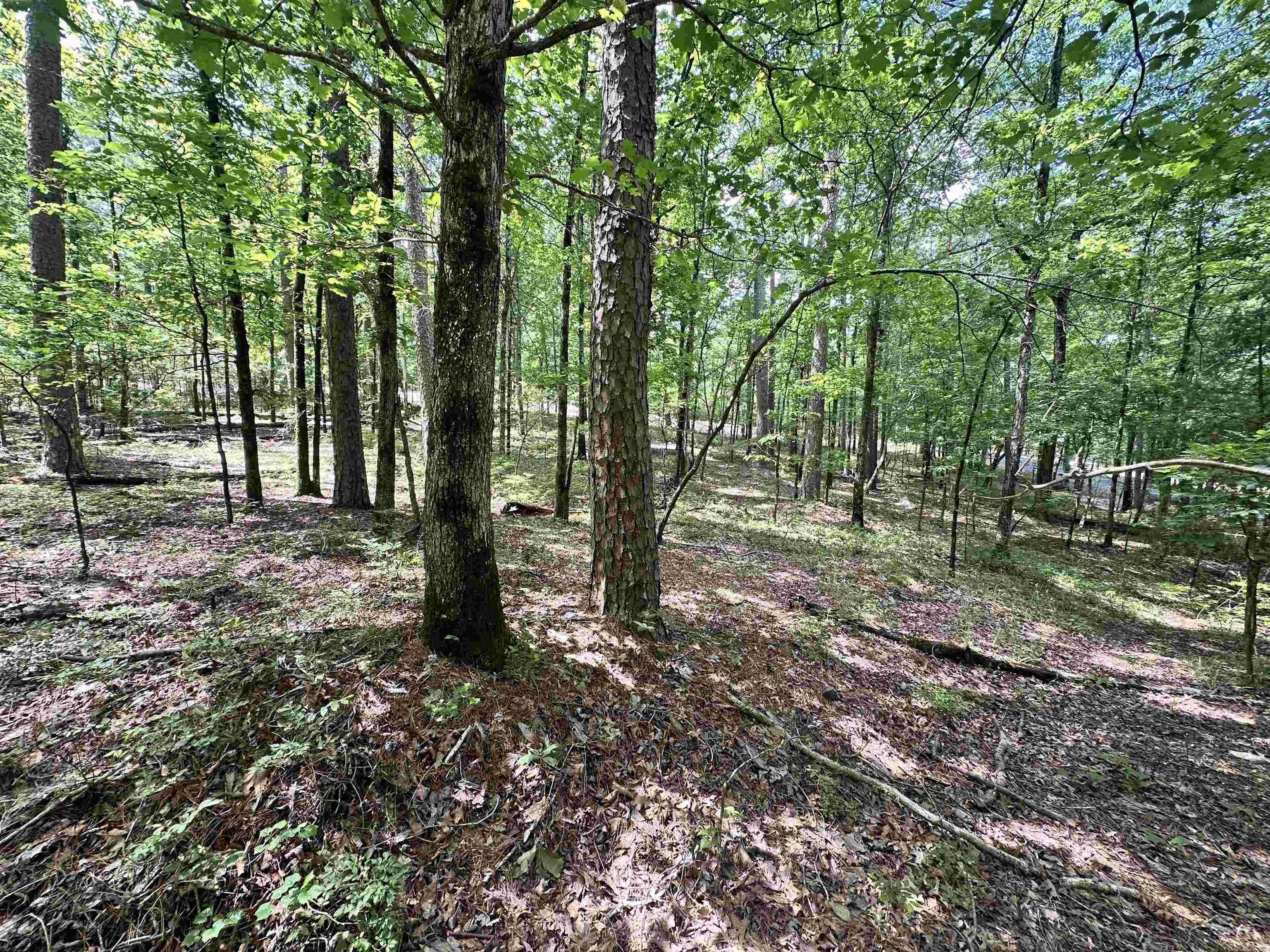 4  Modesto  Hot Springs Village, AR