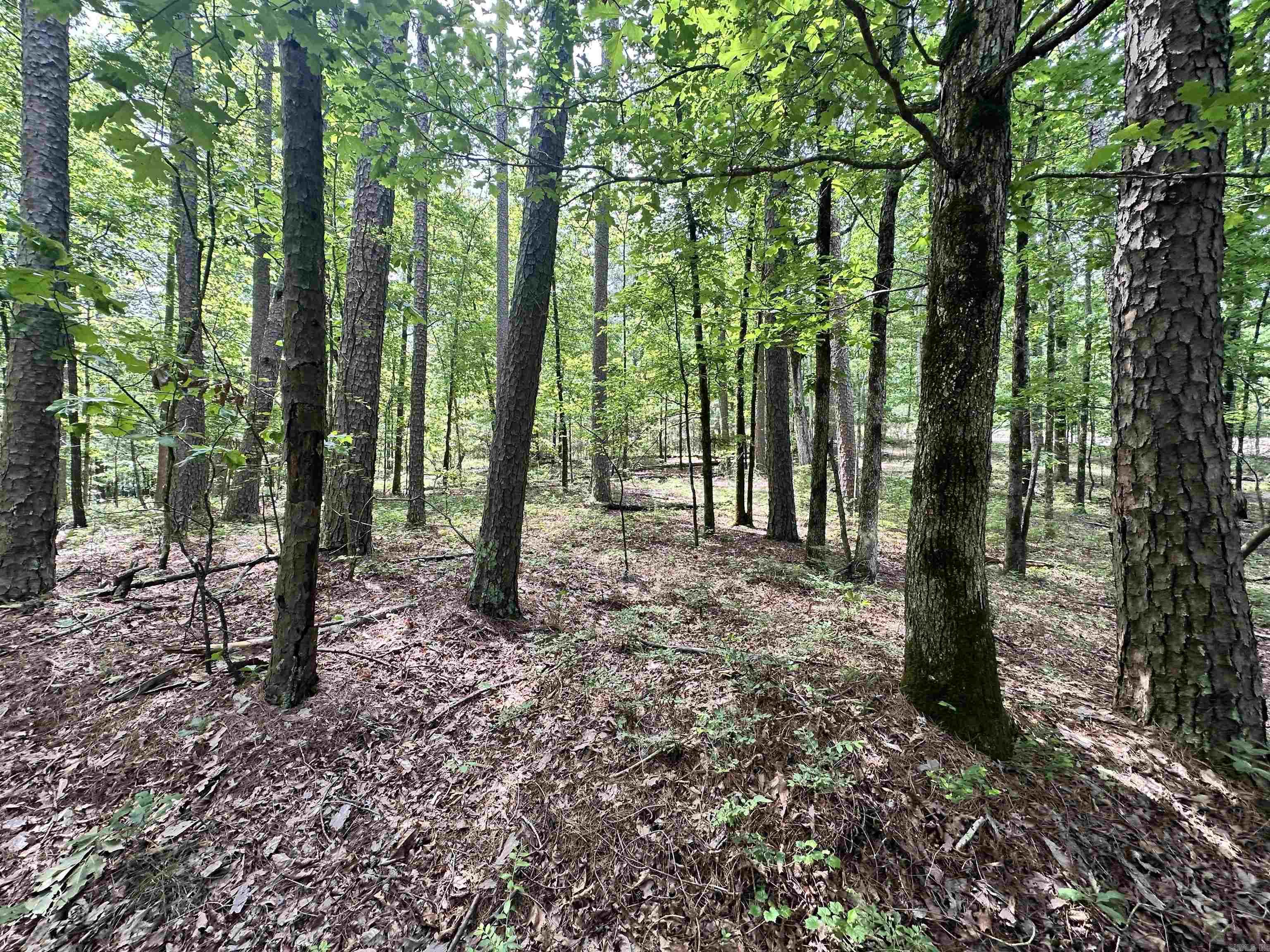 4  Modesto  Hot Springs Village, AR
