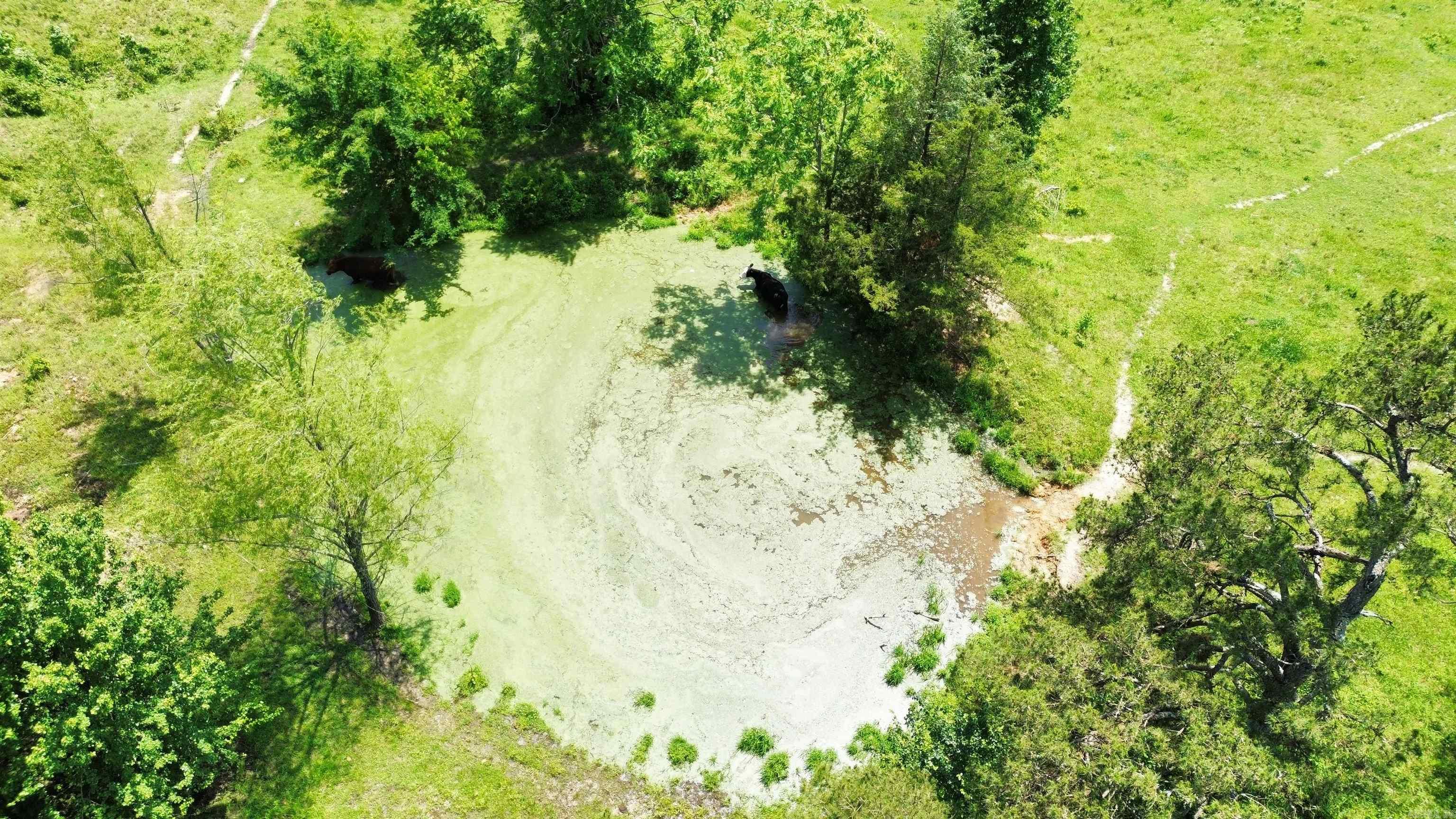 482  Ash  Melbourne, AR